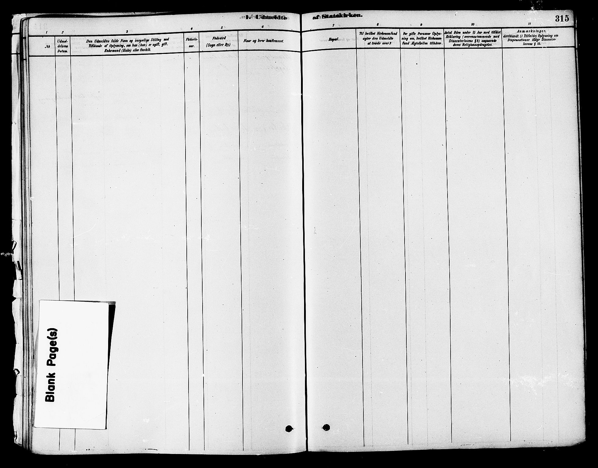 Modum kirkebøker, SAKO/A-234/F/Fa/L0011: Ministerialbok nr. 11, 1877-1889, s. 315