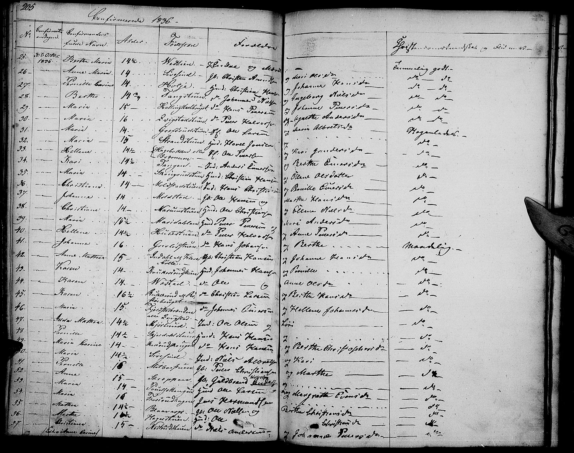 Vestre Toten prestekontor, SAH/PREST-108/H/Ha/Haa/L0002: Ministerialbok nr. 2, 1825-1837, s. 205