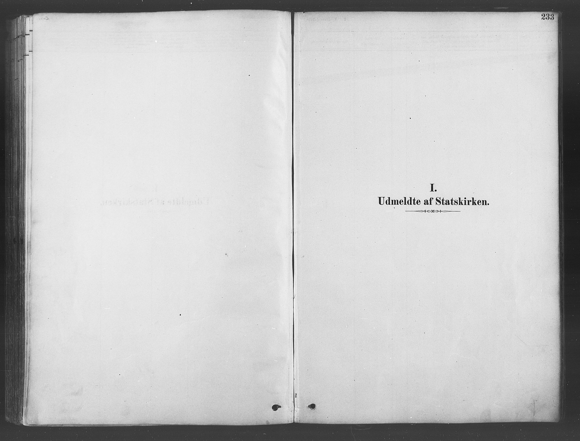 Ullensaker prestekontor Kirkebøker, SAO/A-10236a/F/Fa/L0019: Ministerialbok nr. I 19, 1878-1891, s. 233