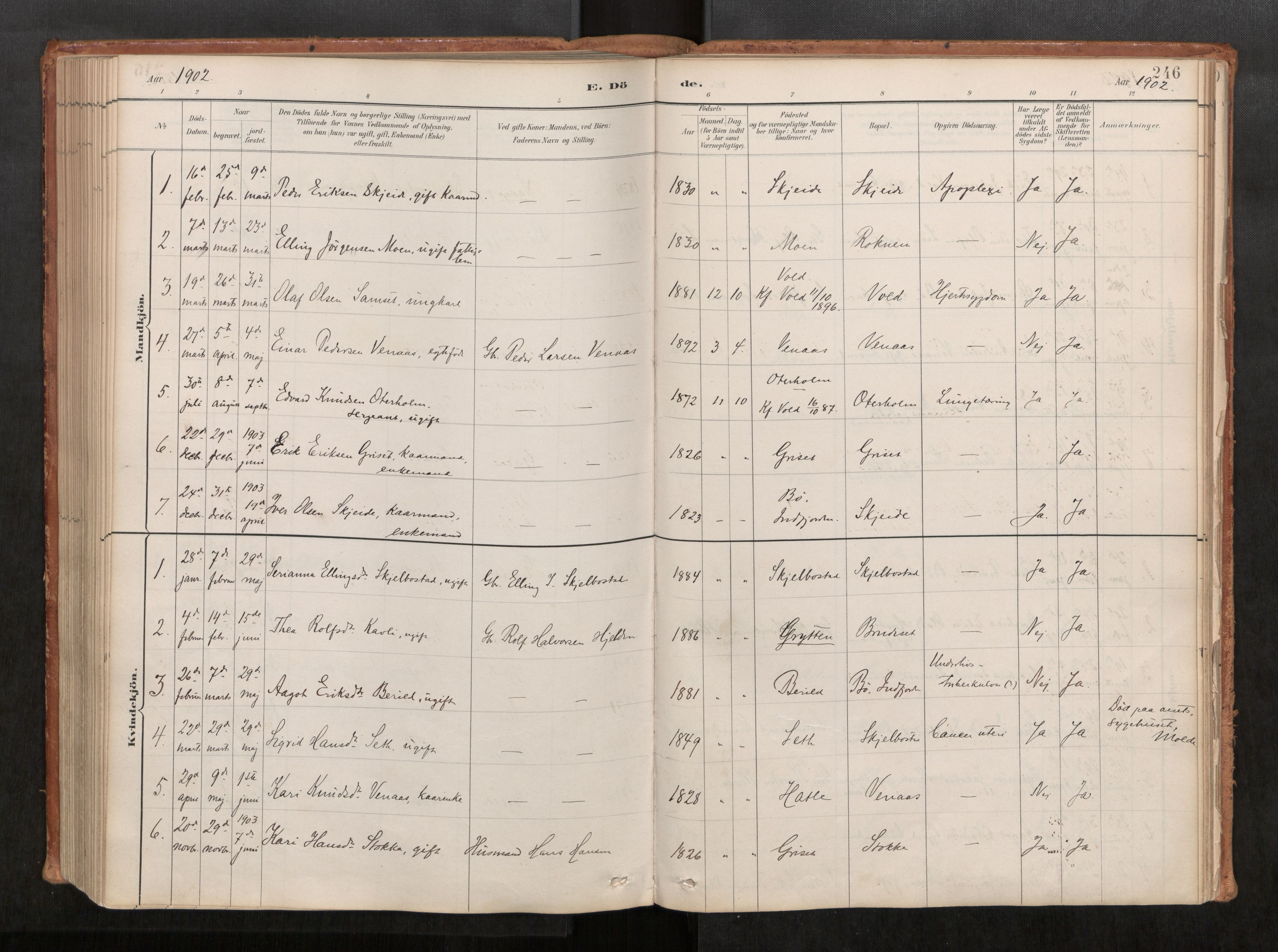 Ministerialprotokoller, klokkerbøker og fødselsregistre - Møre og Romsdal, AV/SAT-A-1454/543/L0568: Ministerialbok nr. 543A03, 1885-1915, s. 246