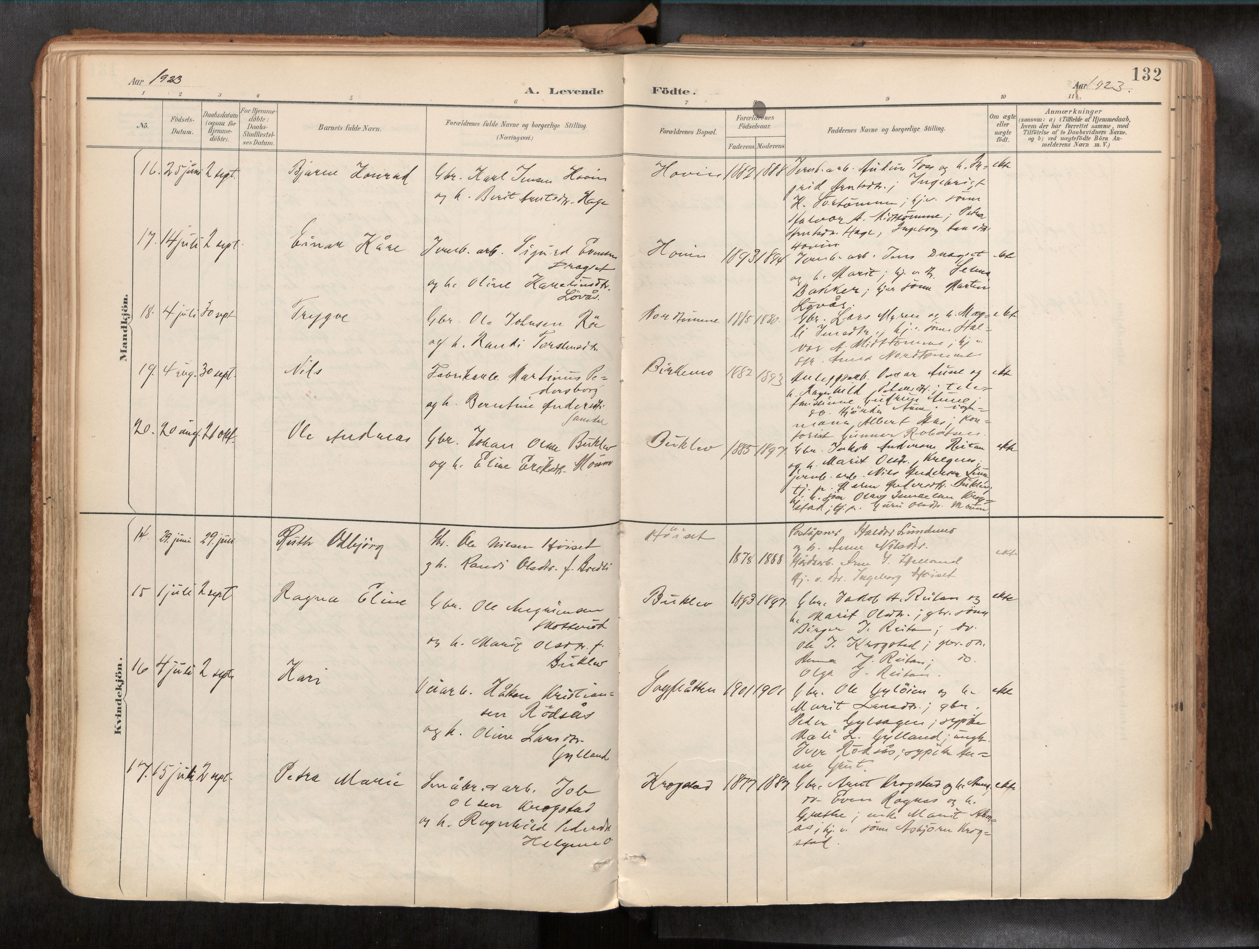 Ministerialprotokoller, klokkerbøker og fødselsregistre - Sør-Trøndelag, SAT/A-1456/692/L1105b: Ministerialbok nr. 692A06, 1891-1934, s. 132