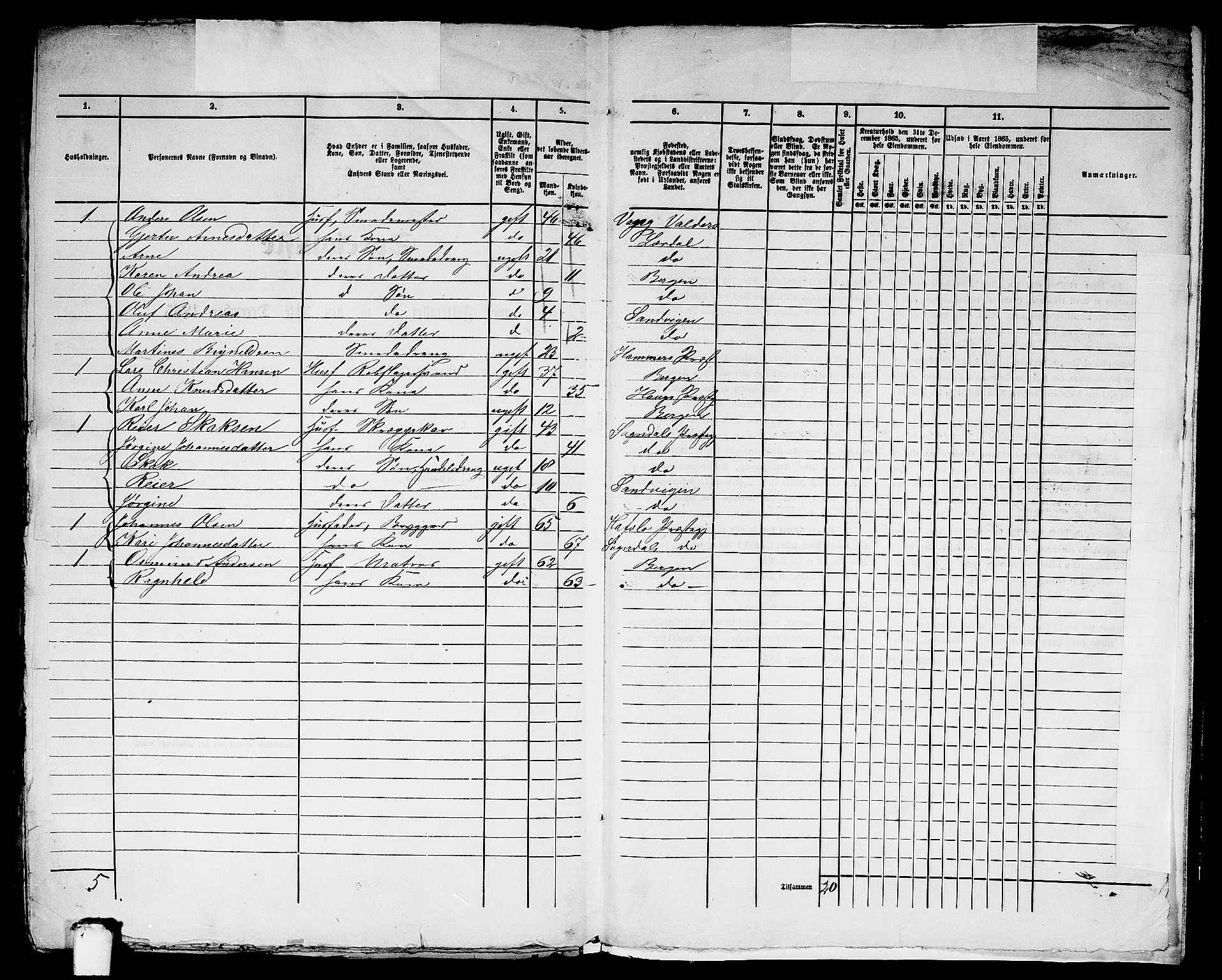 RA, Folketelling 1865 for 1281L Bergen Landdistrikt, Domkirkens landsokn og Korskirkens landsokn, 1865, s. 316