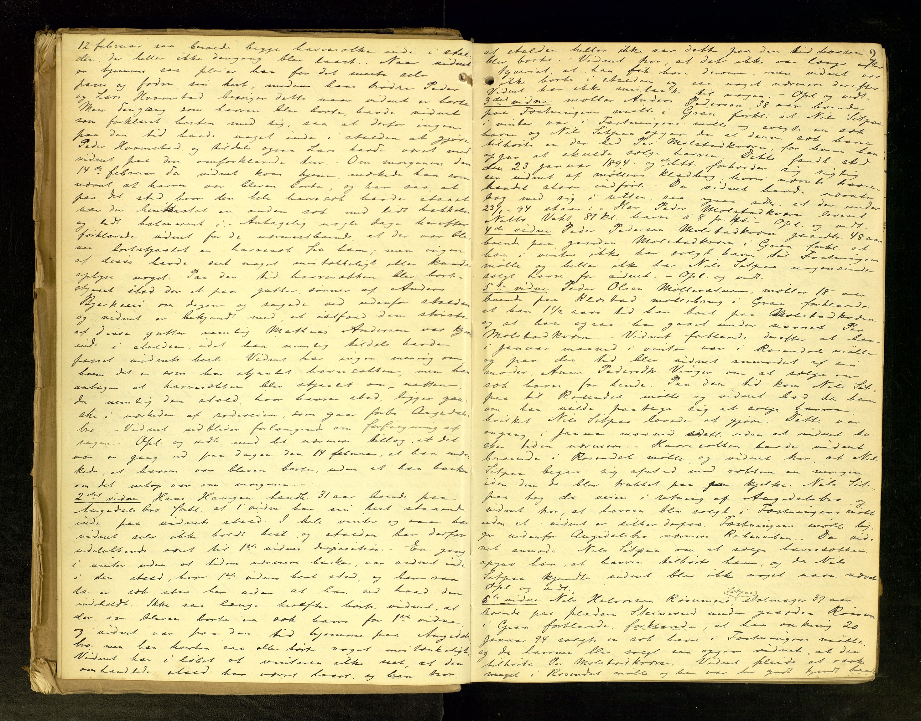 Hadeland og Land tingrett, AV/SAH-TING-010/G/Gc/L0028: Ekstrarettsprotokoll, 1894-1897, s. 2
