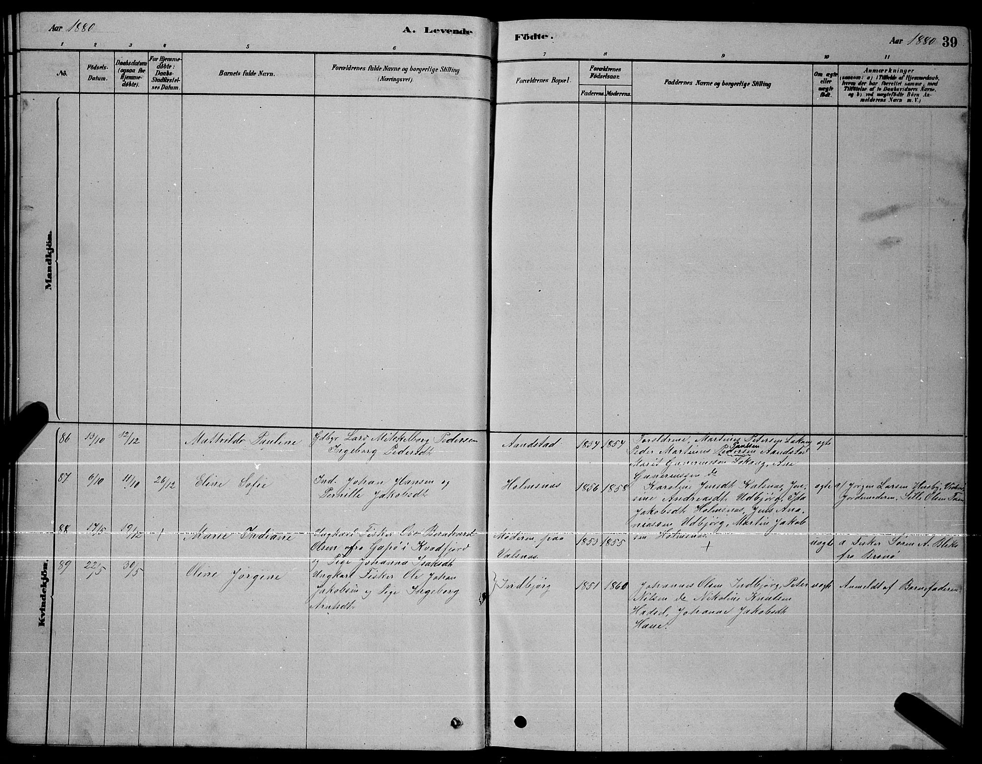 Ministerialprotokoller, klokkerbøker og fødselsregistre - Nordland, AV/SAT-A-1459/888/L1267: Klokkerbok nr. 888C05, 1878-1890, s. 39