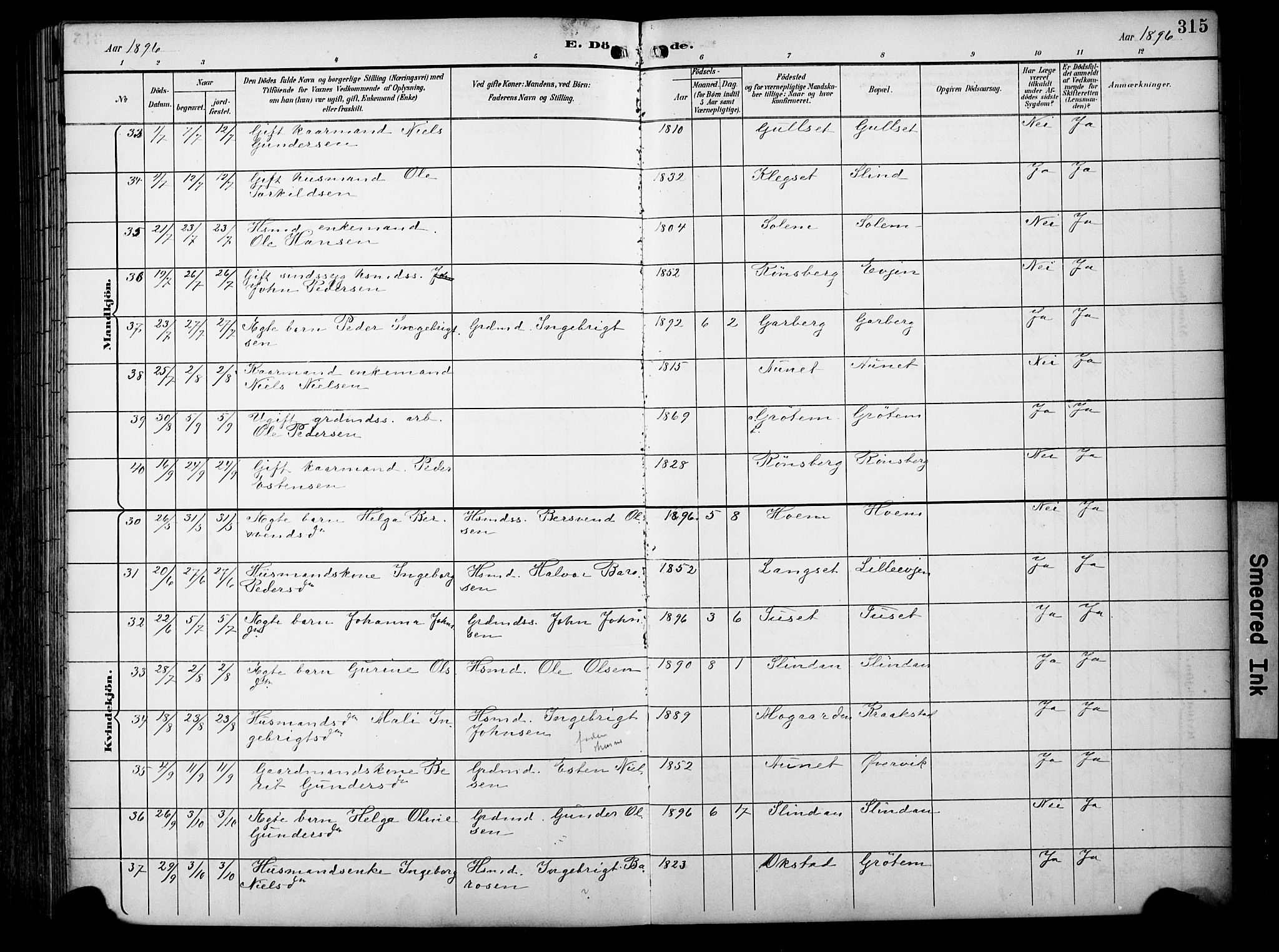 Ministerialprotokoller, klokkerbøker og fødselsregistre - Sør-Trøndelag, SAT/A-1456/695/L1149: Ministerialbok nr. 695A09, 1891-1902, s. 315