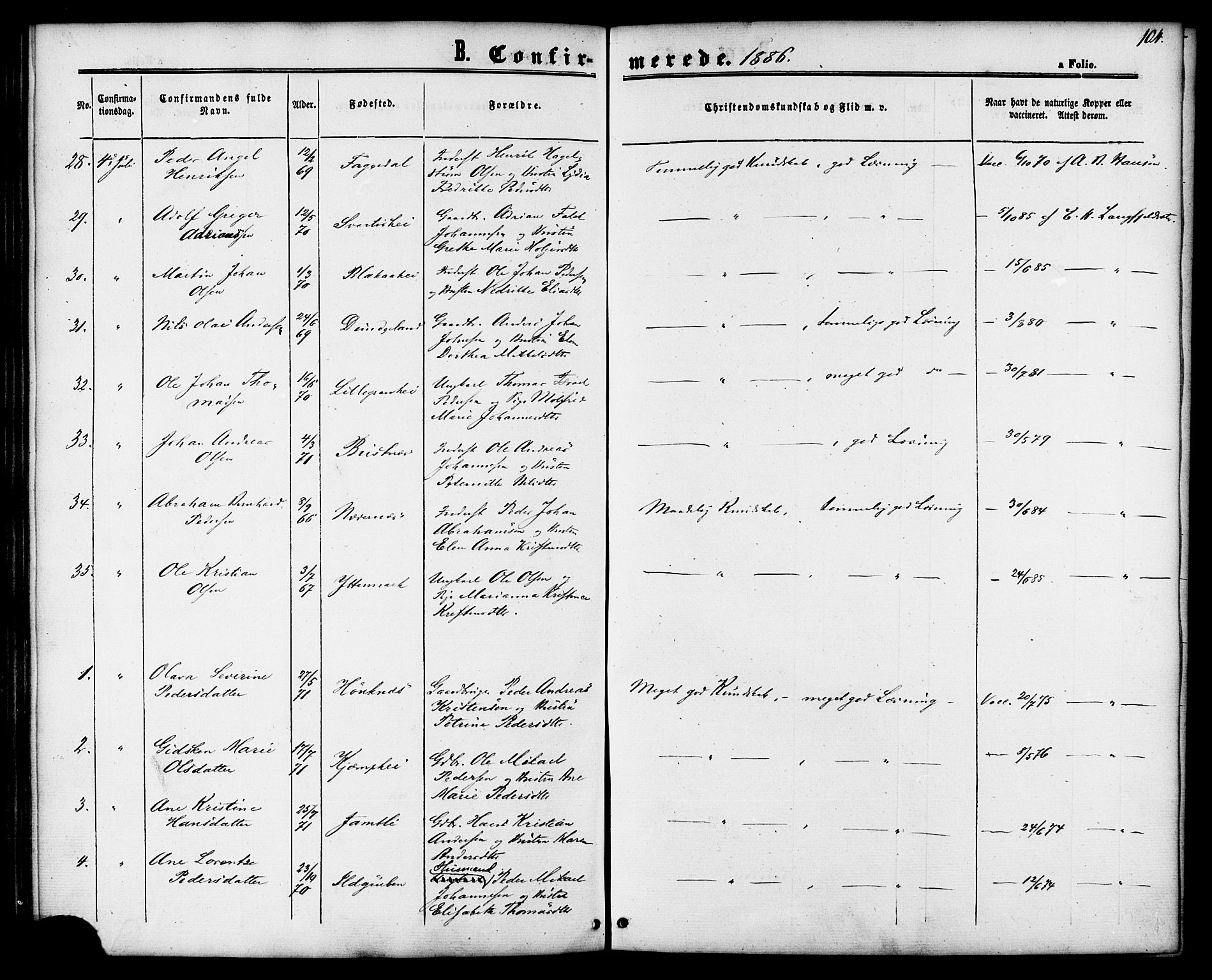 Ministerialprotokoller, klokkerbøker og fødselsregistre - Nordland, AV/SAT-A-1459/827/L0394: Ministerialbok nr. 827A06, 1865-1886, s. 104