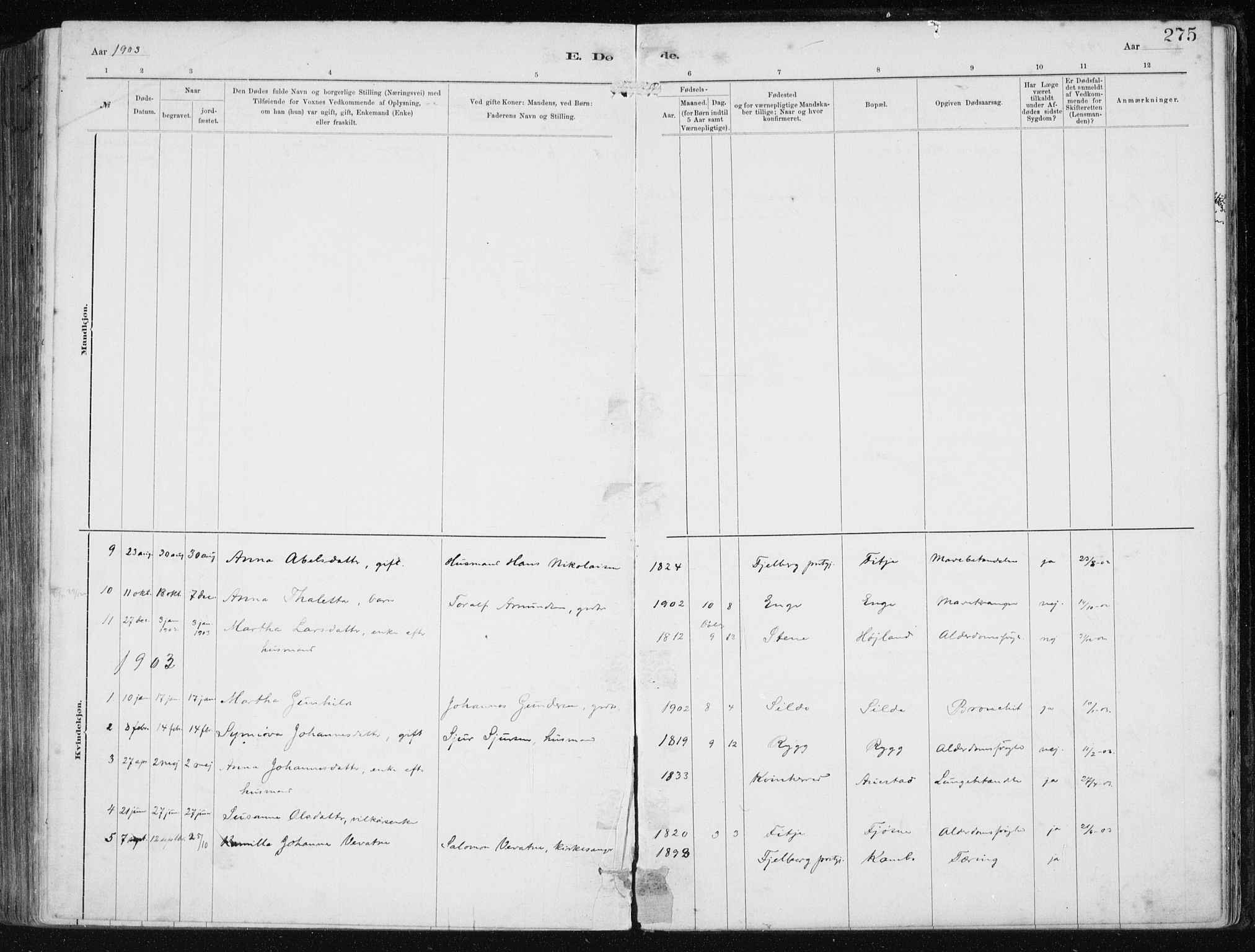 Etne sokneprestembete, SAB/A-75001/H/Haa: Ministerialbok nr. B  1, 1879-1919, s. 275