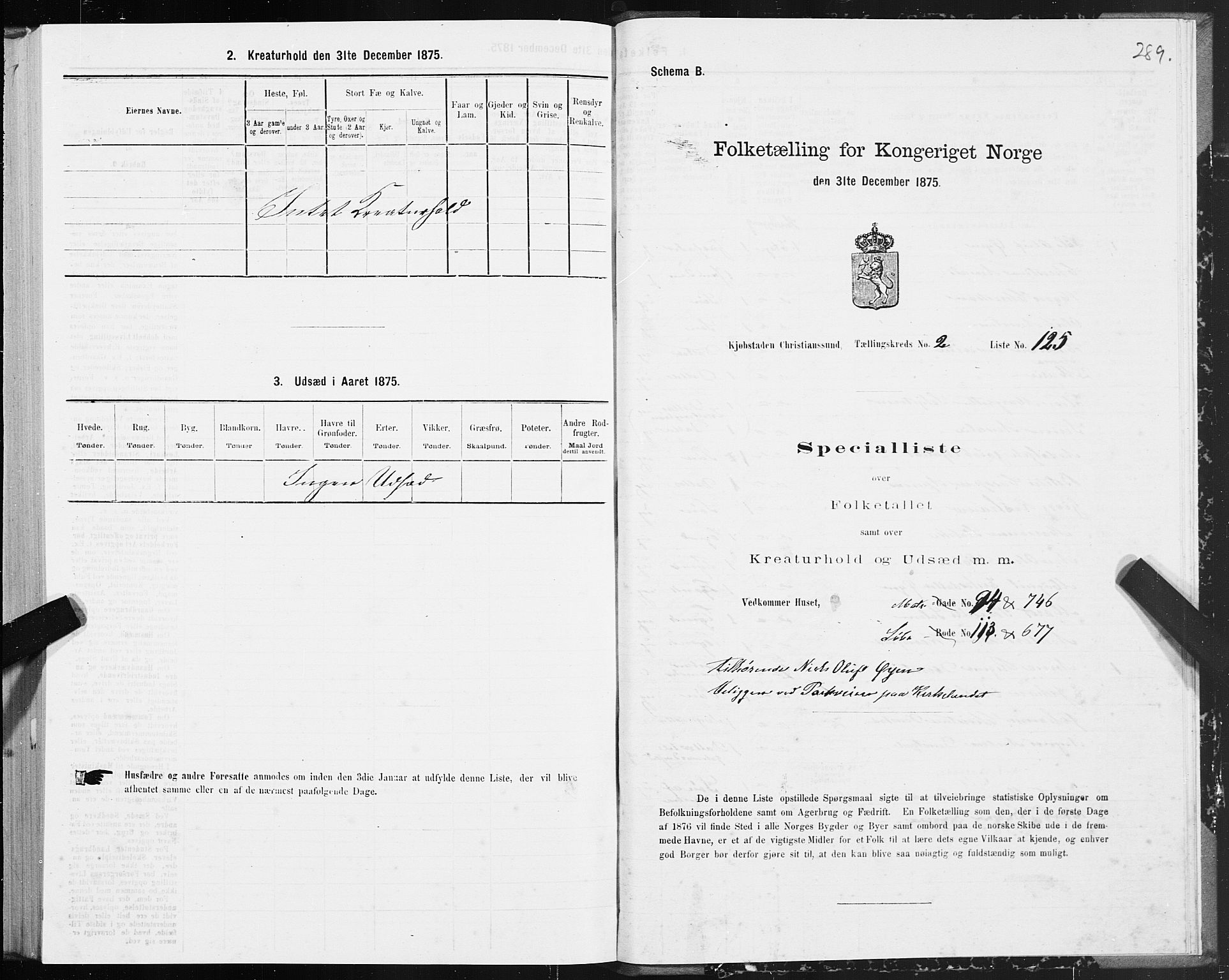 SAT, Folketelling 1875 for 1503B Kristiansund prestegjeld, Kristiansund kjøpstad, 1875, s. 2289