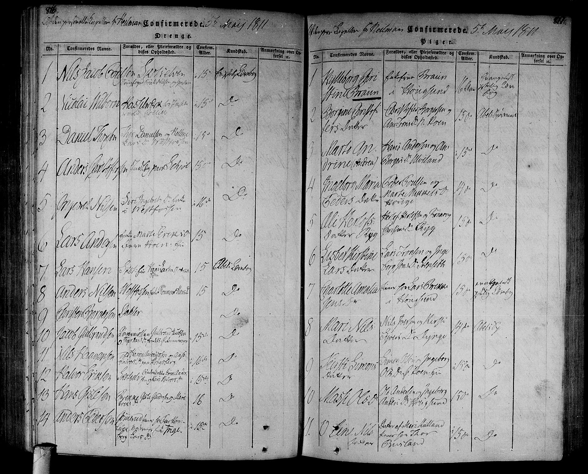 Eiker kirkebøker, AV/SAKO-A-4/F/Fa/L0010: Ministerialbok nr. I 10, 1806-1815, s. 816-817