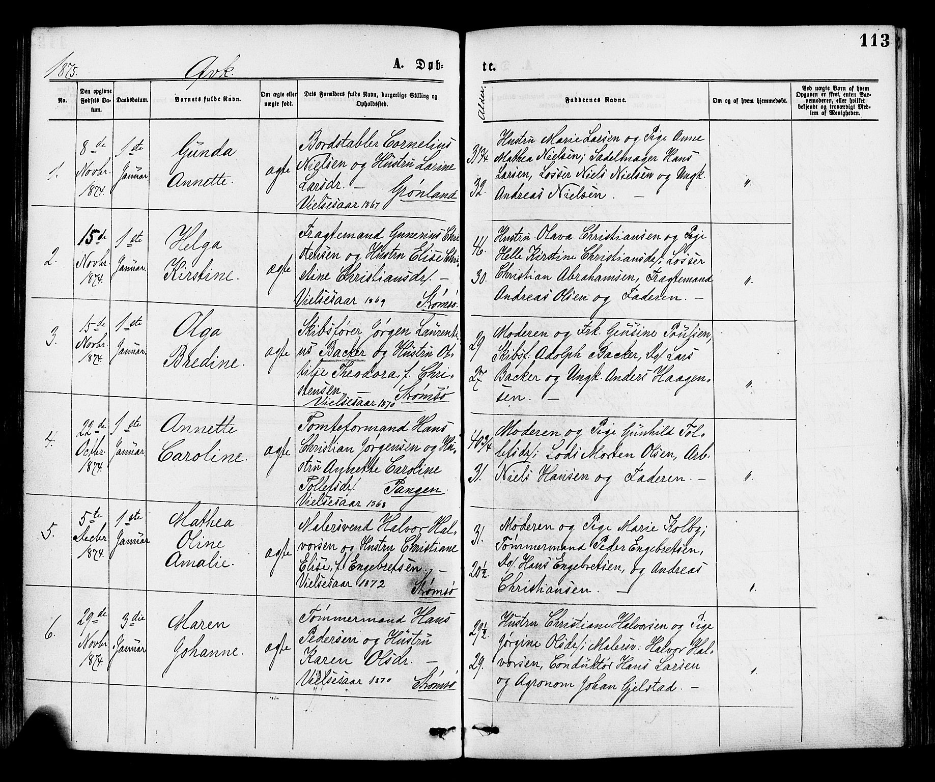 Strømsø kirkebøker, AV/SAKO-A-246/F/Fa/L0019: Ministerialbok nr. I 19, 1874-1877, s. 113