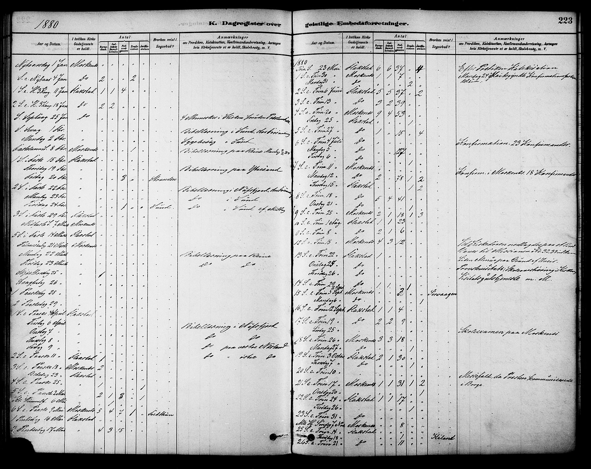 Ministerialprotokoller, klokkerbøker og fødselsregistre - Nordland, SAT/A-1459/885/L1204: Ministerialbok nr. 885A05, 1878-1892, s. 223