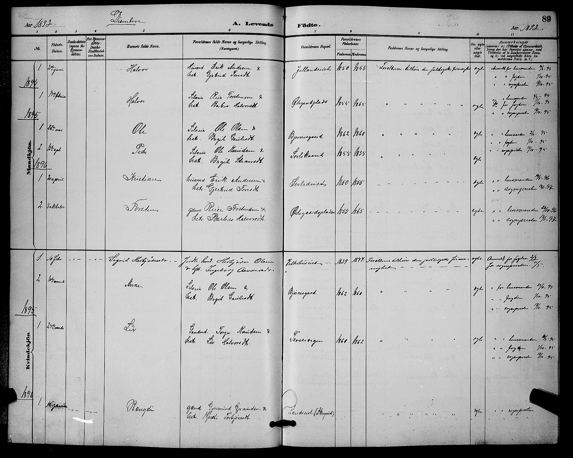 Nore kirkebøker, AV/SAKO-A-238/G/Ga/L0003: Klokkerbok nr. I 3, 1886-1903, s. 89