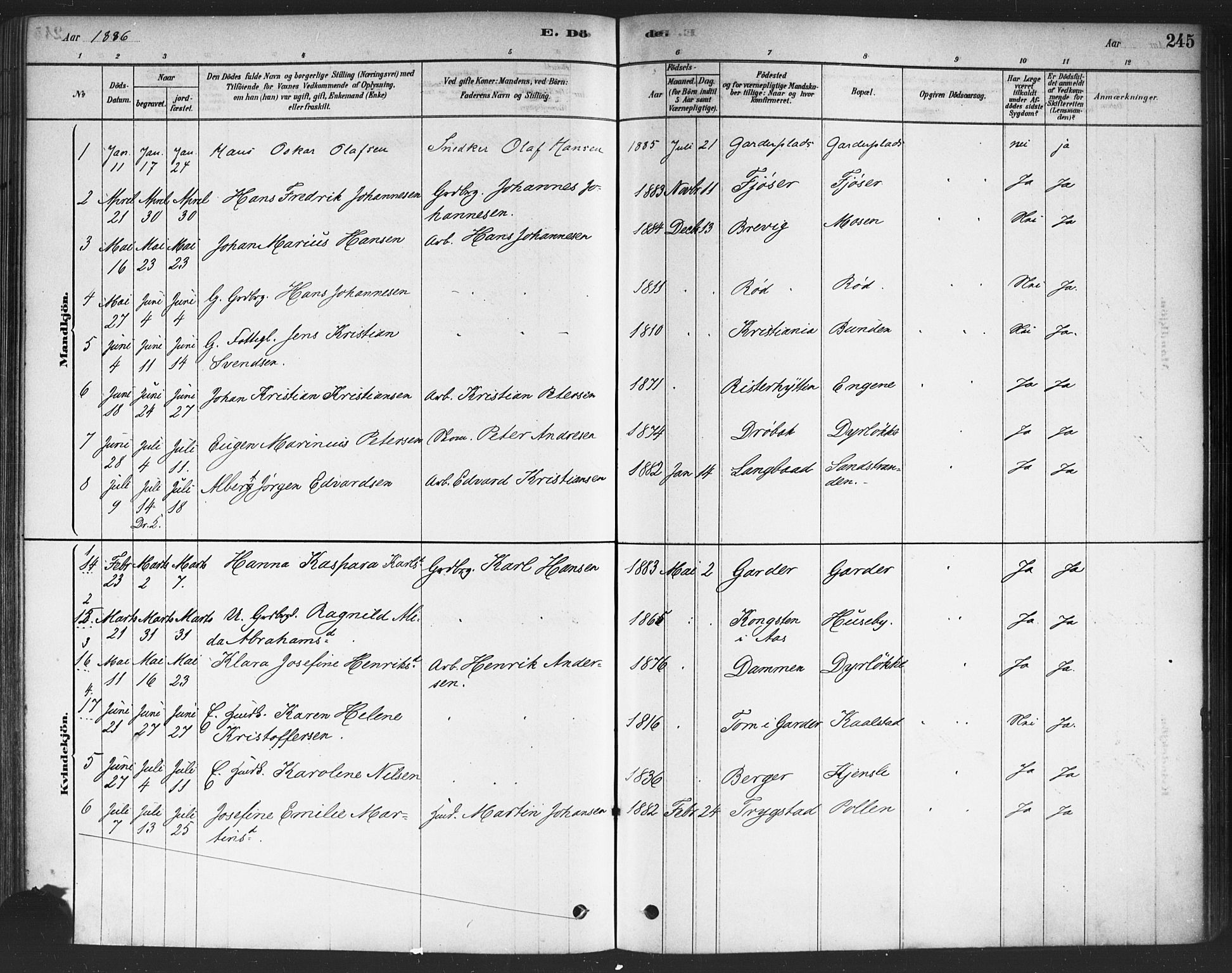 Drøbak prestekontor Kirkebøker, SAO/A-10142a/F/Fc/L0002: Ministerialbok nr. III 2, 1878-1891, s. 245