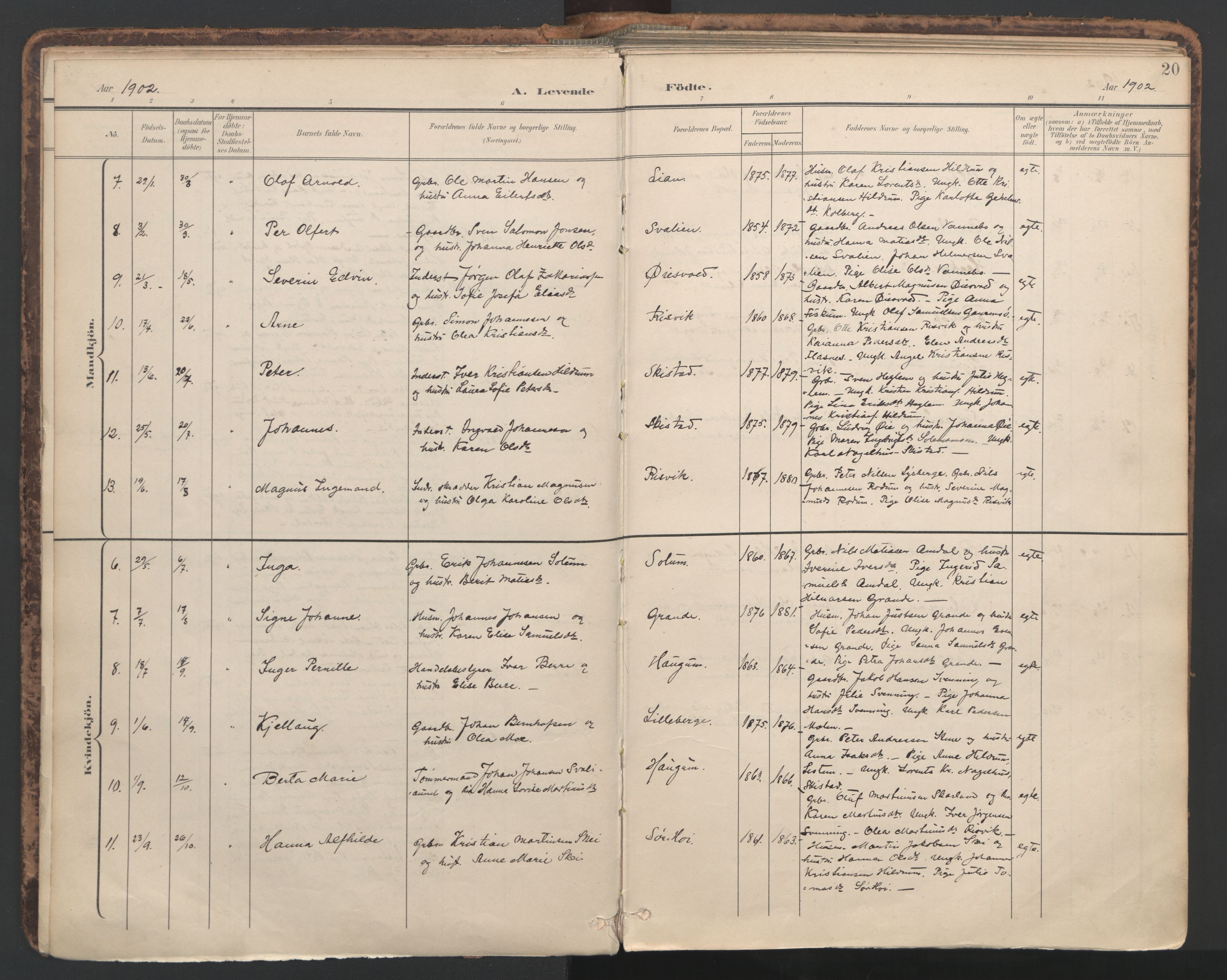 Ministerialprotokoller, klokkerbøker og fødselsregistre - Nord-Trøndelag, SAT/A-1458/764/L0556: Ministerialbok nr. 764A11, 1897-1924, s. 20