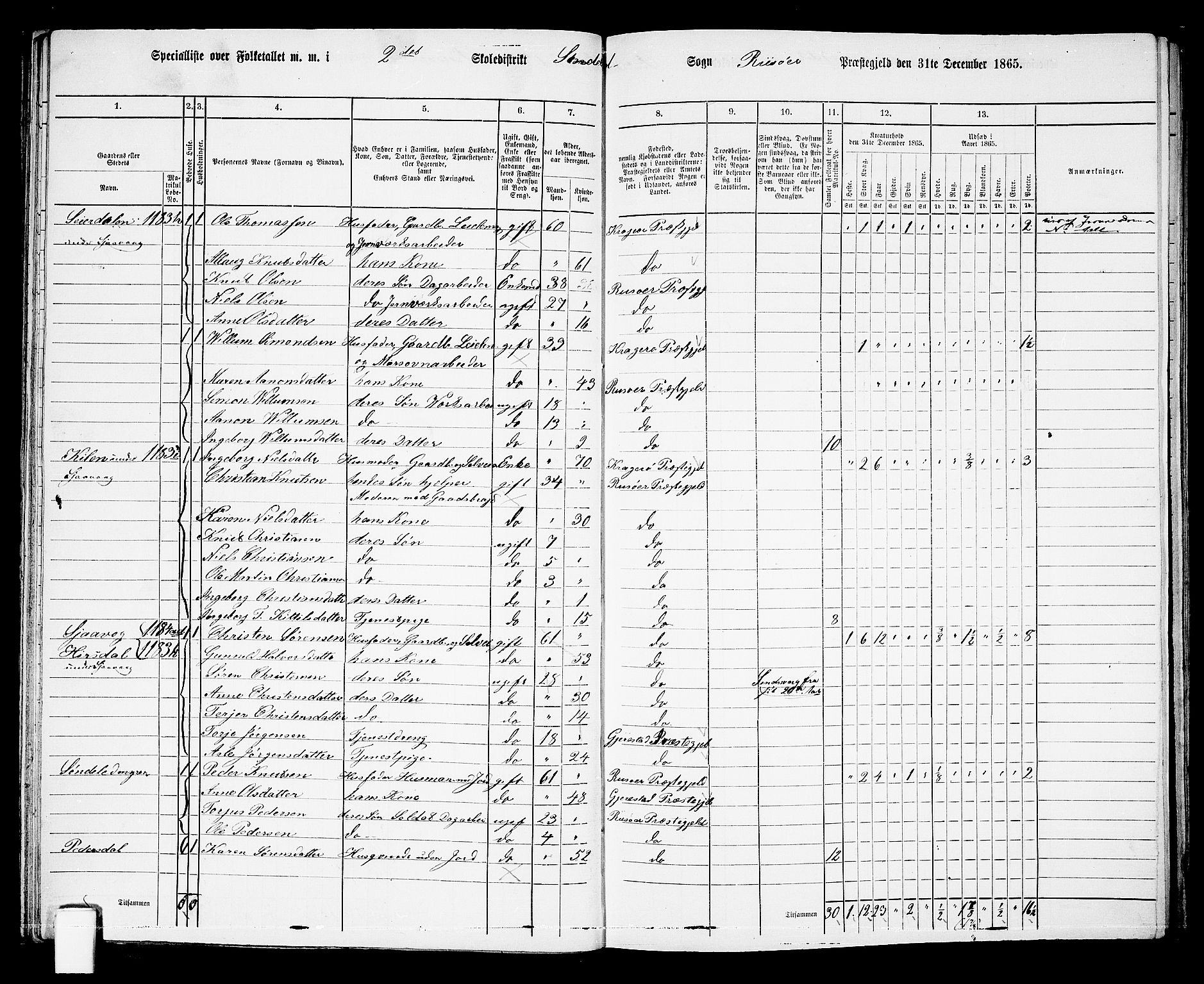 RA, Folketelling 1865 for 0913L Risør prestegjeld, Søndeled sokn, 1865, s. 45