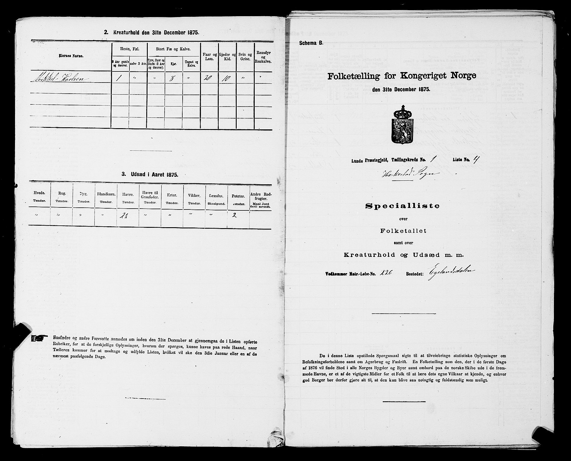 SAST, Folketelling 1875 for 1112P Lund prestegjeld, 1875, s. 592