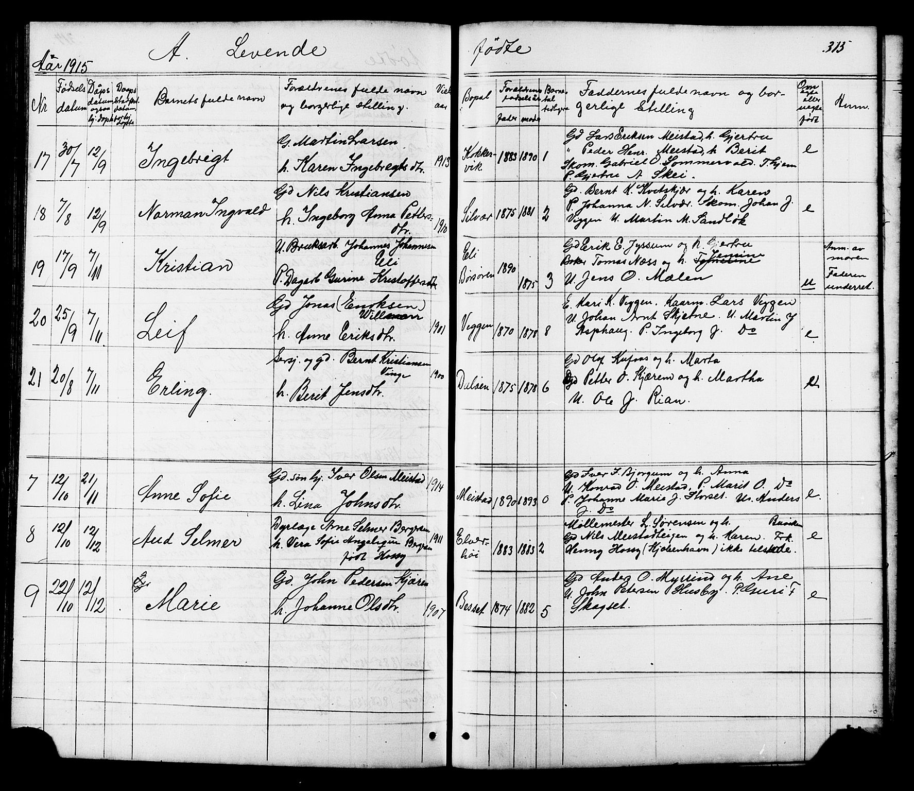 Ministerialprotokoller, klokkerbøker og fødselsregistre - Sør-Trøndelag, SAT/A-1456/665/L0777: Klokkerbok nr. 665C02, 1867-1915, s. 315