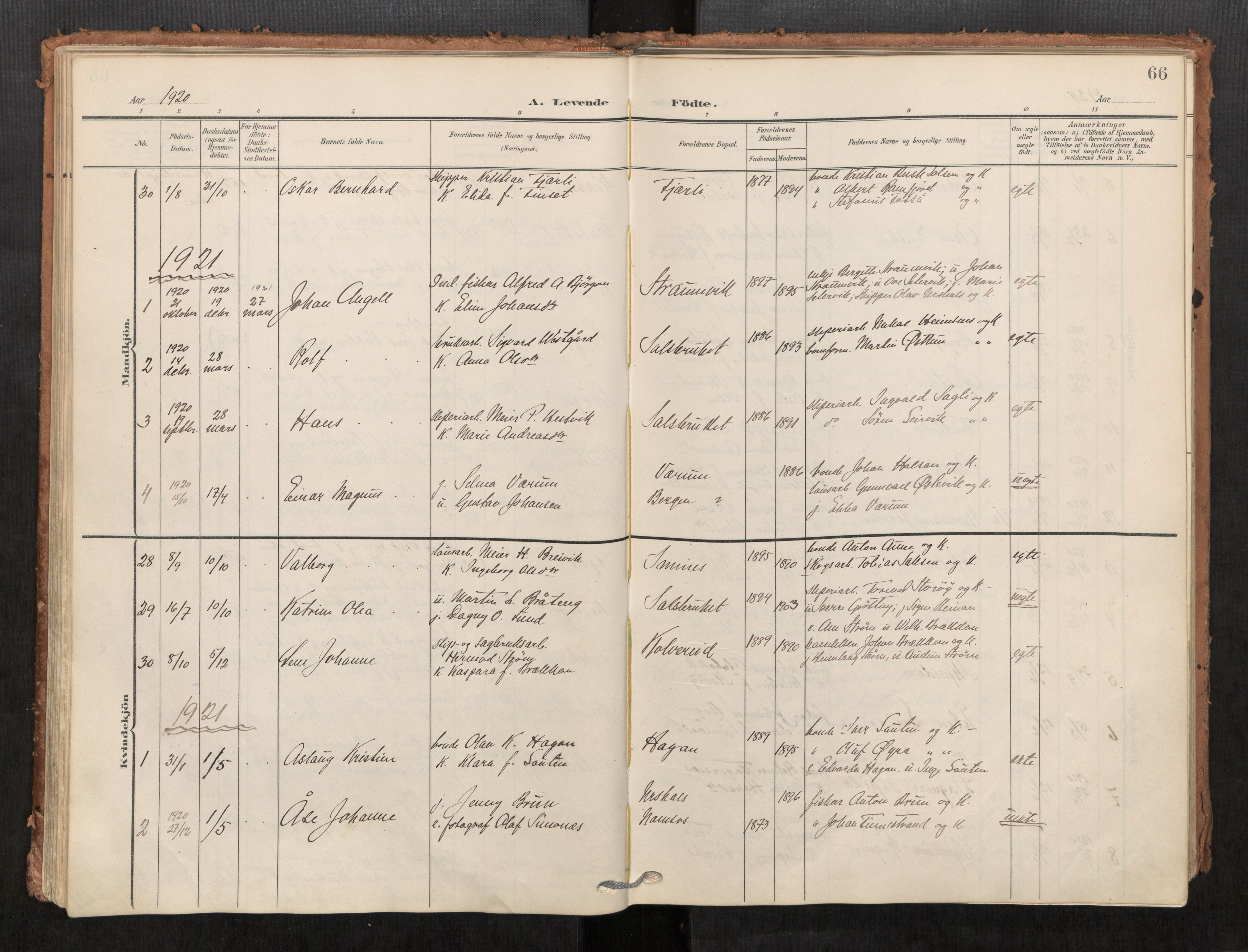 Kolvereid sokneprestkontor, AV/SAT-A-1171/H/Ha/Haa/L0001: Ministerialbok nr. 1, 1903-1922, s. 66
