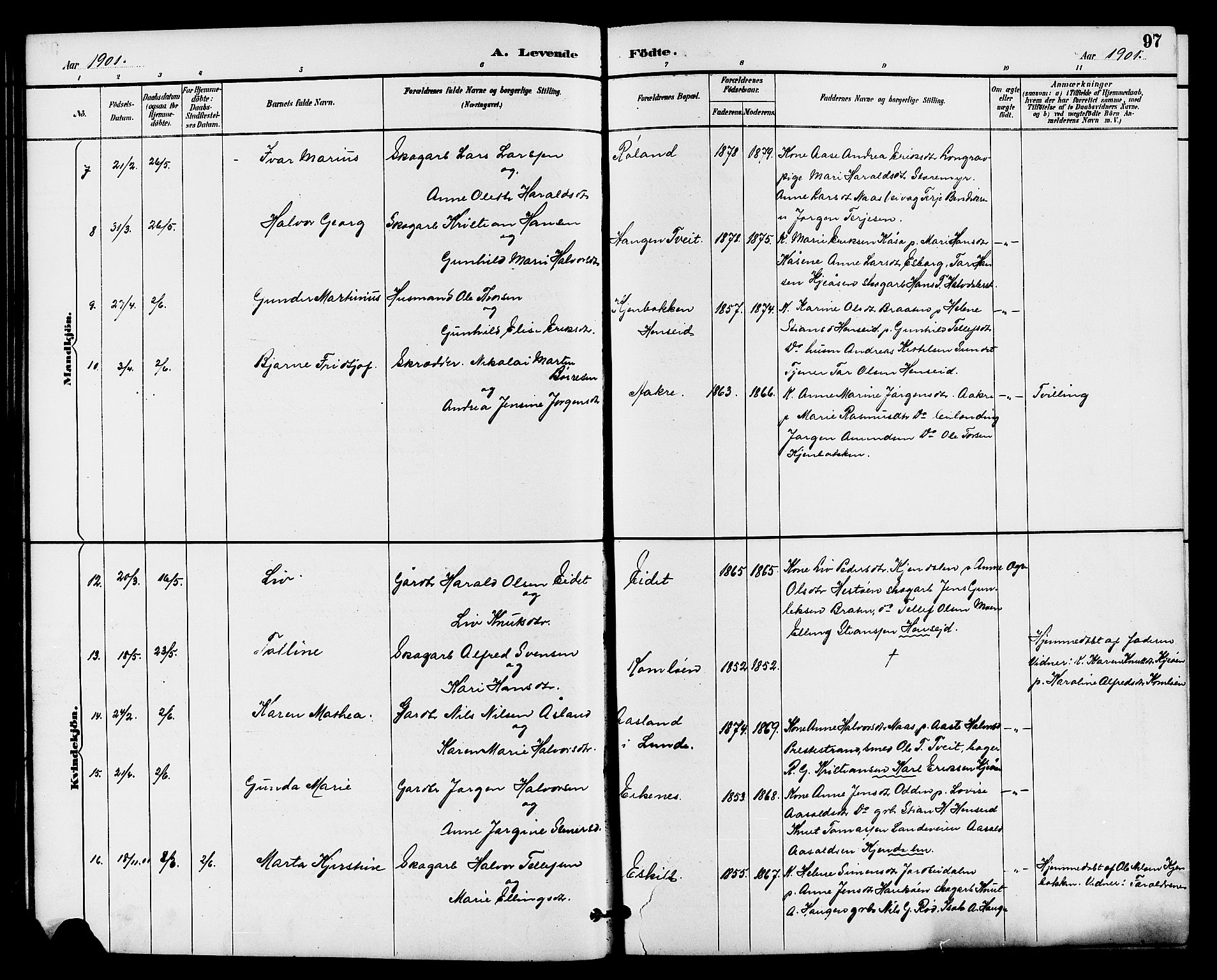 Drangedal kirkebøker, AV/SAKO-A-258/G/Ga/L0003: Klokkerbok nr. I 3, 1887-1906, s. 97