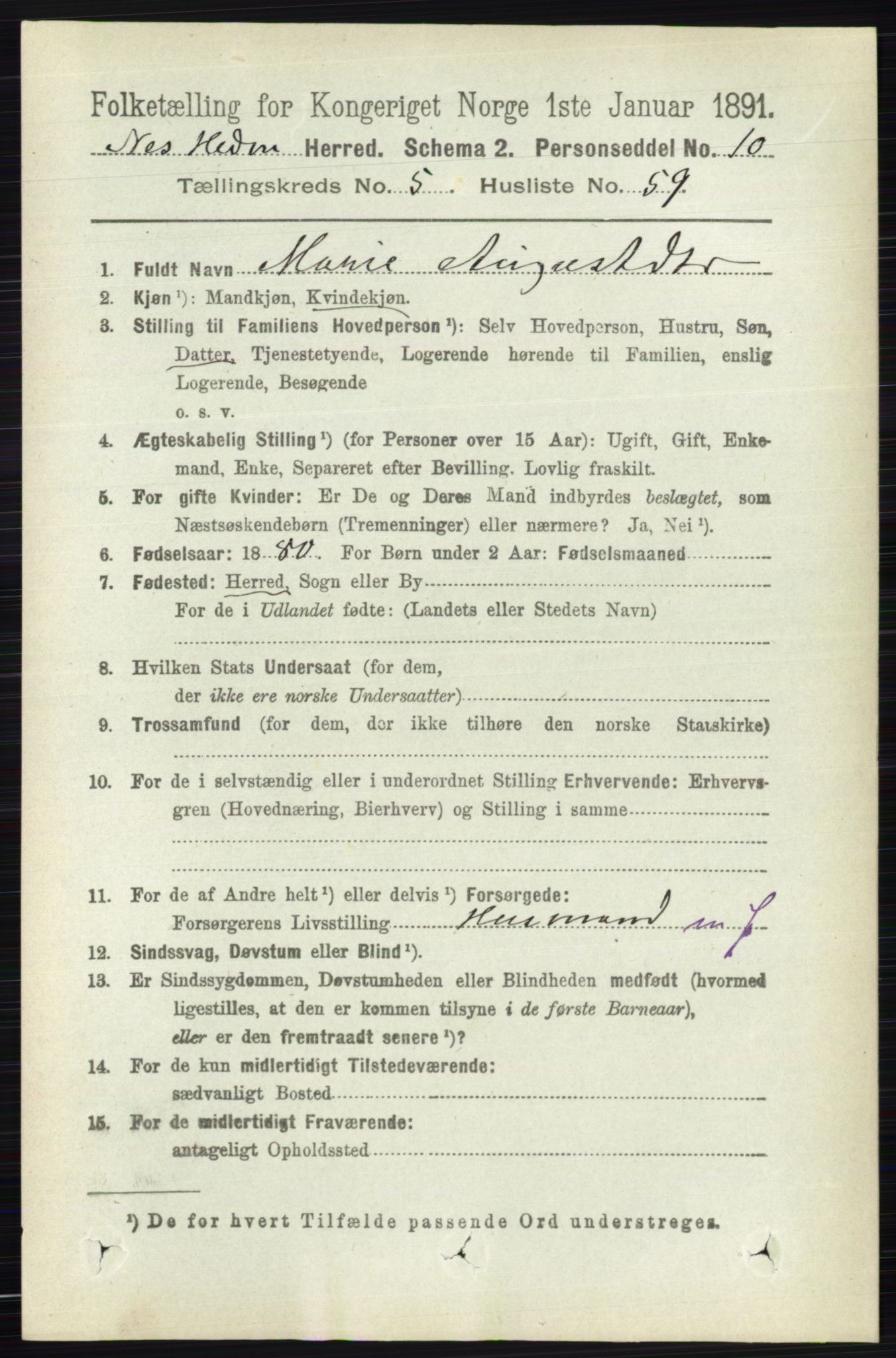 RA, Folketelling 1891 for 0411 Nes herred, 1891, s. 2988
