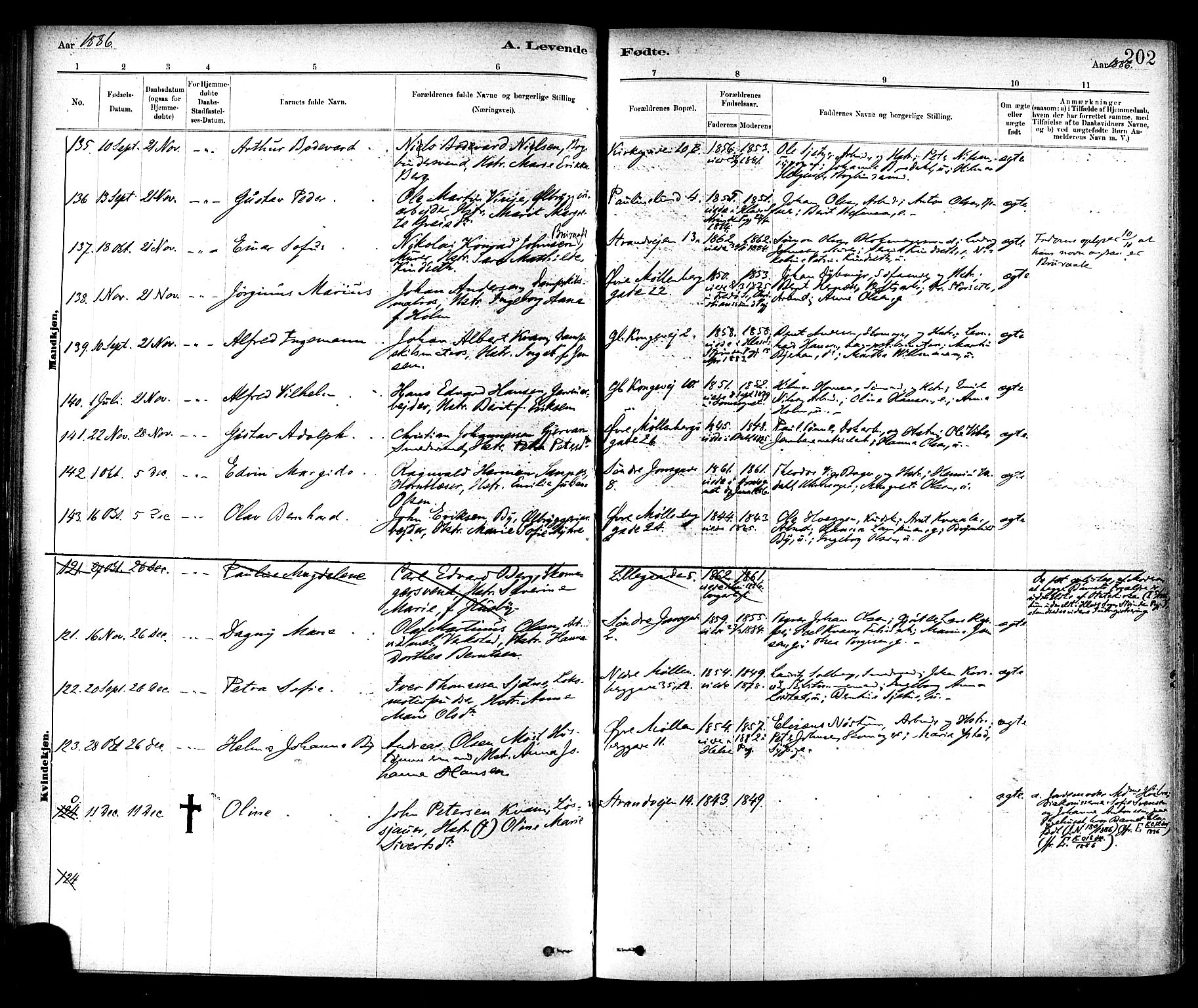 Ministerialprotokoller, klokkerbøker og fødselsregistre - Sør-Trøndelag, SAT/A-1456/604/L0188: Ministerialbok nr. 604A09, 1878-1892, s. 202