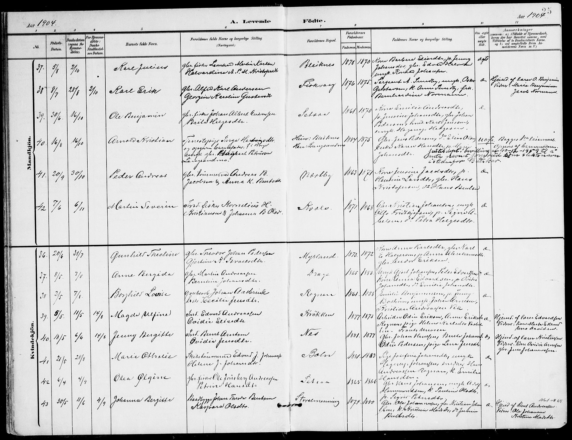 Ministerialprotokoller, klokkerbøker og fødselsregistre - Nordland, AV/SAT-A-1459/847/L0672: Ministerialbok nr. 847A12, 1902-1919, s. 25