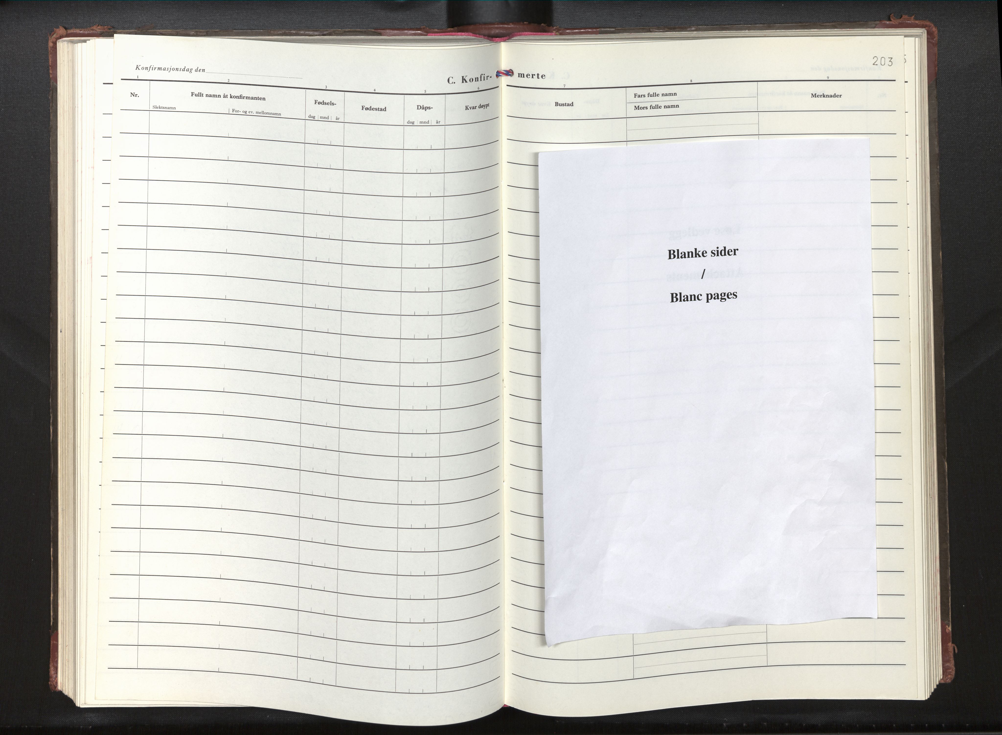 Gloppen sokneprestembete, AV/SAB-A-80101/H/Haa/Haab/L0005: Ministerialbok nr. B 5, 1977-2005, s. 202b-203a