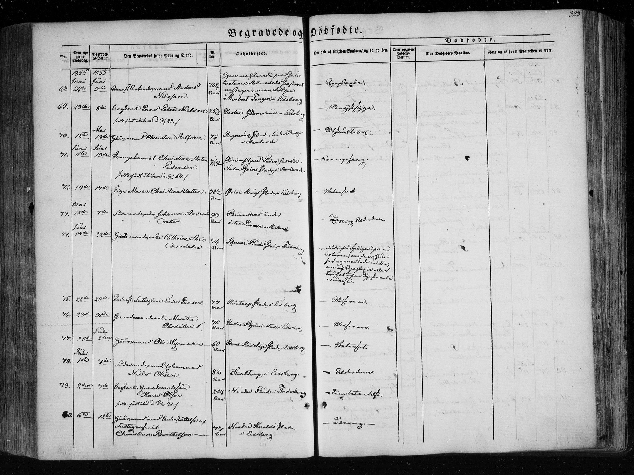 Eidsberg prestekontor Kirkebøker, SAO/A-10905/F/Fa/L0009: Ministerialbok nr. I 9, 1849-1856, s. 323