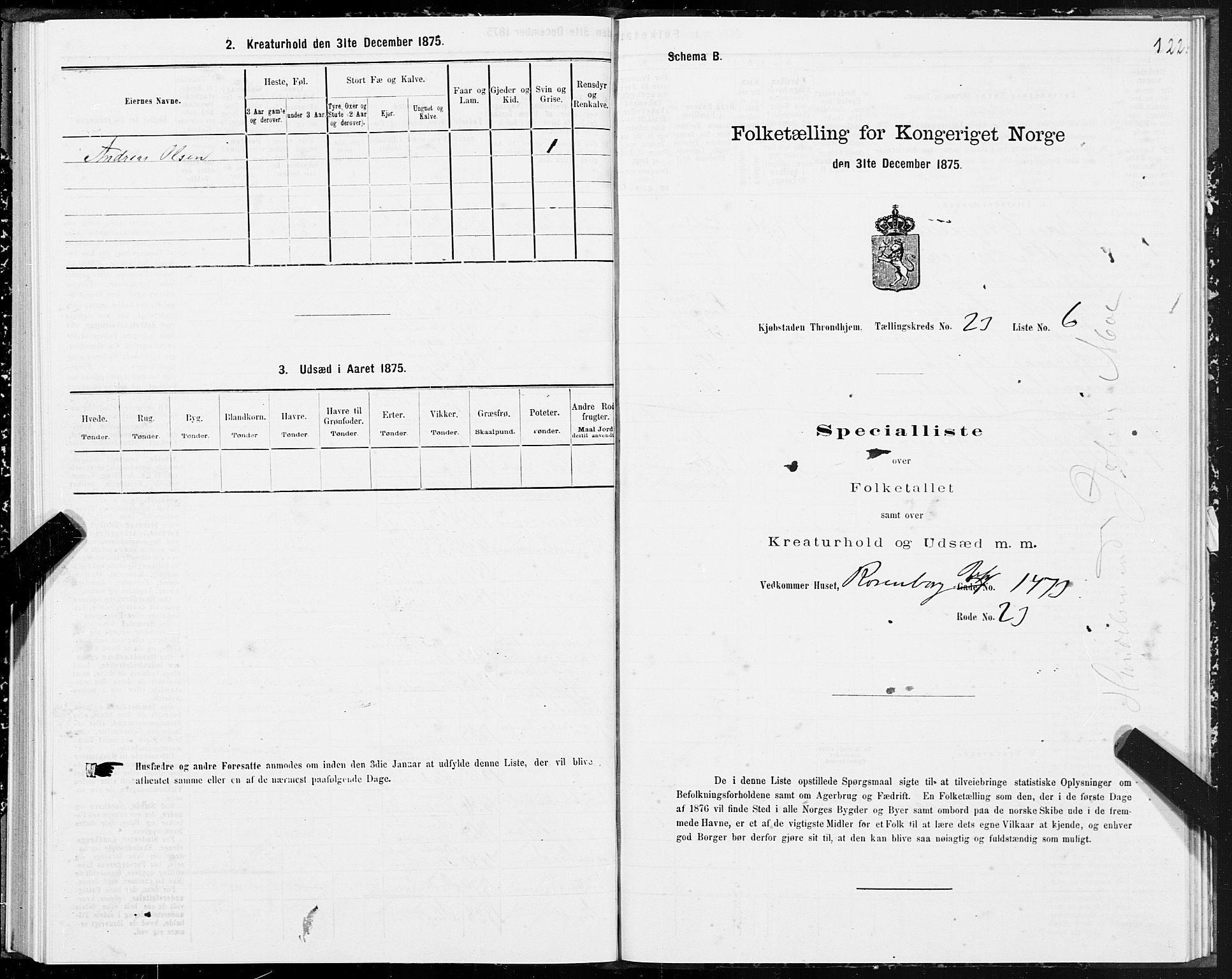 SAT, Folketelling 1875 for 1601 Trondheim kjøpstad, 1875, s. 12122