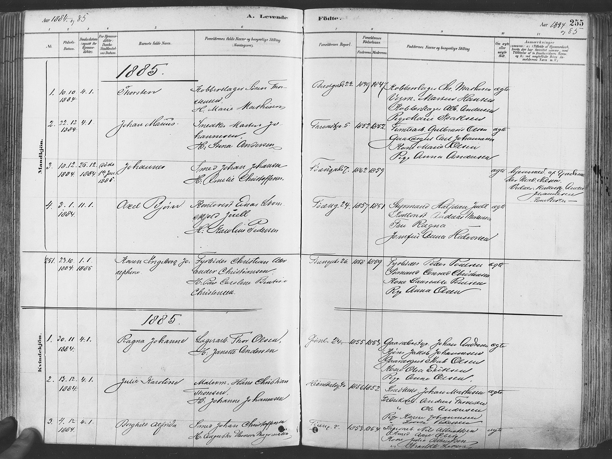 Grønland prestekontor Kirkebøker, AV/SAO-A-10848/F/Fa/L0007: Ministerialbok nr. 7, 1878-1888, s. 255