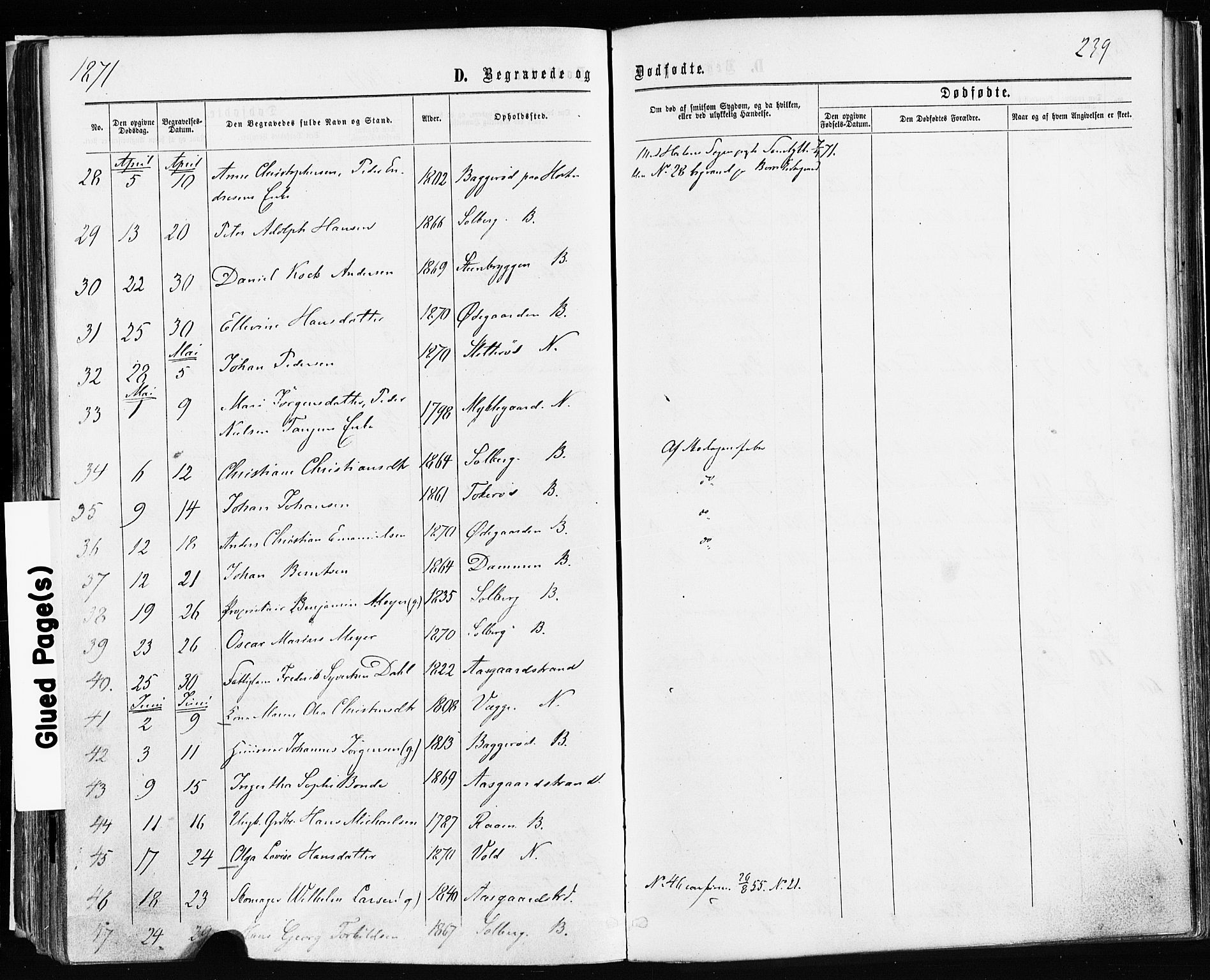 Borre kirkebøker, AV/SAKO-A-338/F/Fa/L0008: Ministerialbok nr. I 8, 1868-1877, s. 239