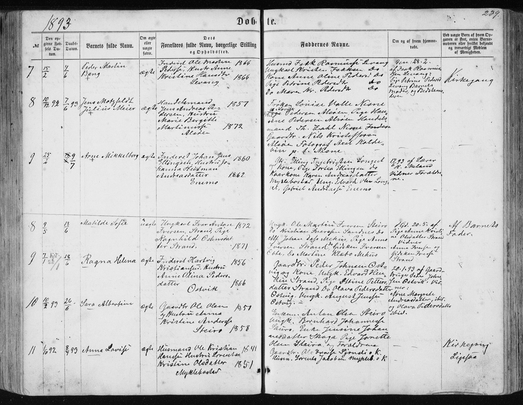 Ministerialprotokoller, klokkerbøker og fødselsregistre - Nordland, AV/SAT-A-1459/838/L0556: Klokkerbok nr. 838C03, 1861-1893, s. 239