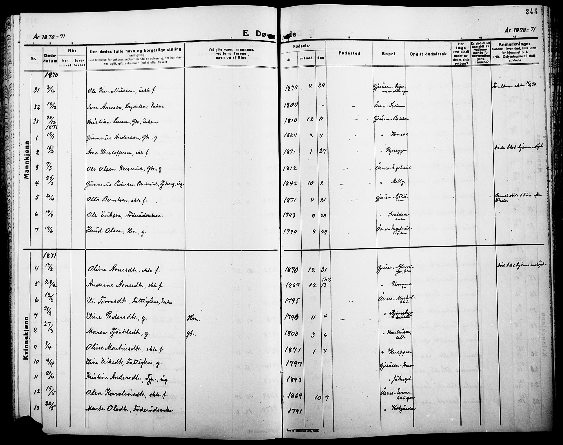 Åsnes prestekontor, SAH/PREST-042/H/Ha/Haa/L0000B: Ministerialbok, 1870-1889, s. 244