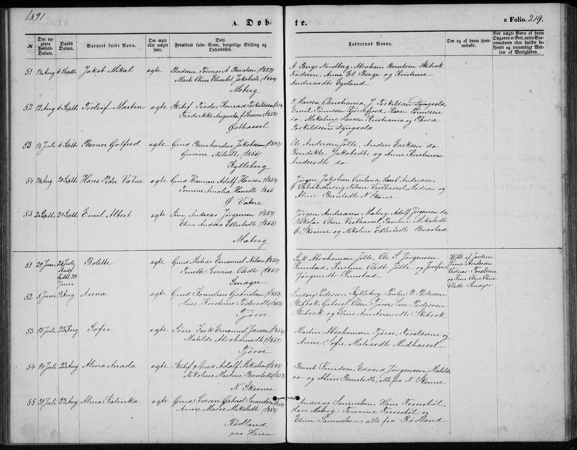 Lista sokneprestkontor, AV/SAK-1111-0027/F/Fb/L0004: Klokkerbok nr. B 4, 1877-1891, s. 219