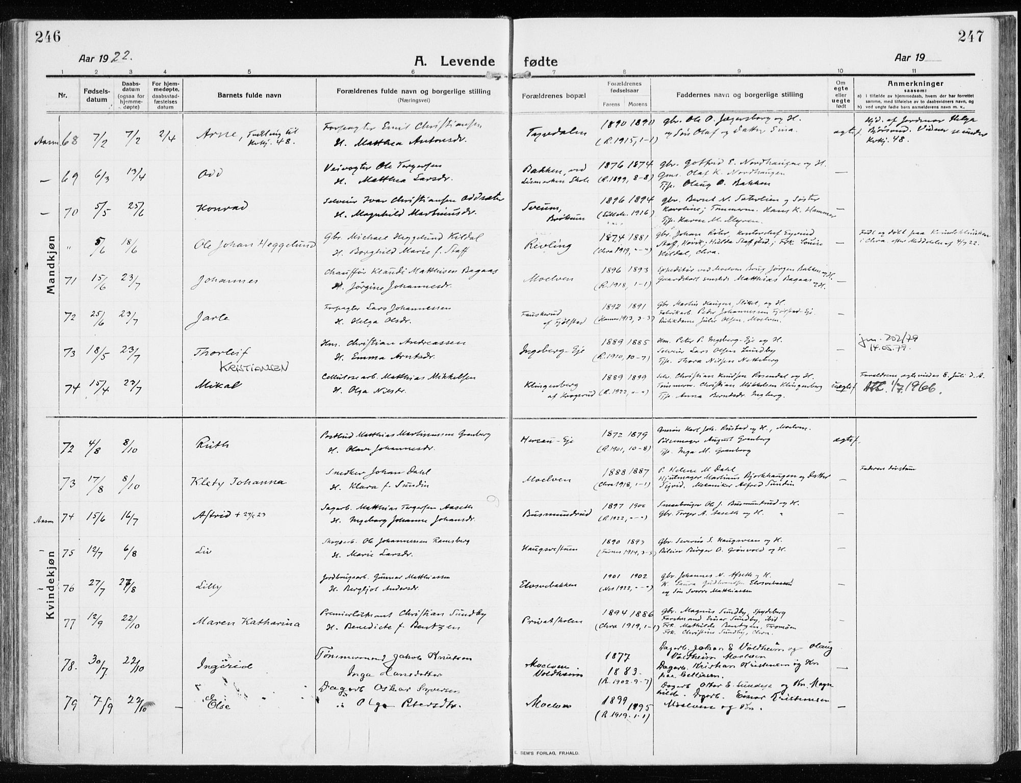 Ringsaker prestekontor, AV/SAH-PREST-014/K/Ka/L0020: Ministerialbok nr. 20, 1913-1922, s. 246-247