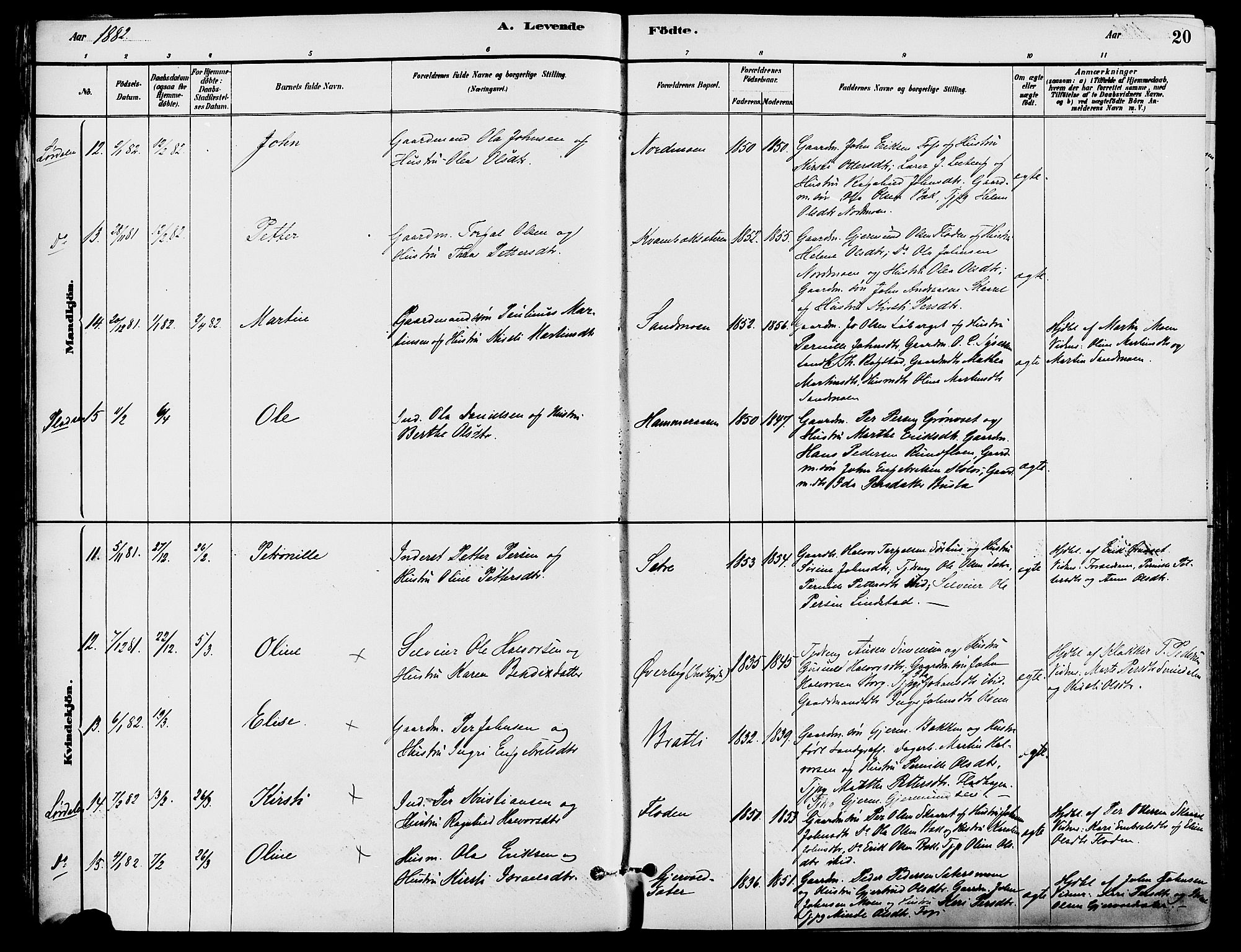 Trysil prestekontor, AV/SAH-PREST-046/H/Ha/Haa/L0008: Ministerialbok nr. 8, 1881-1897, s. 20