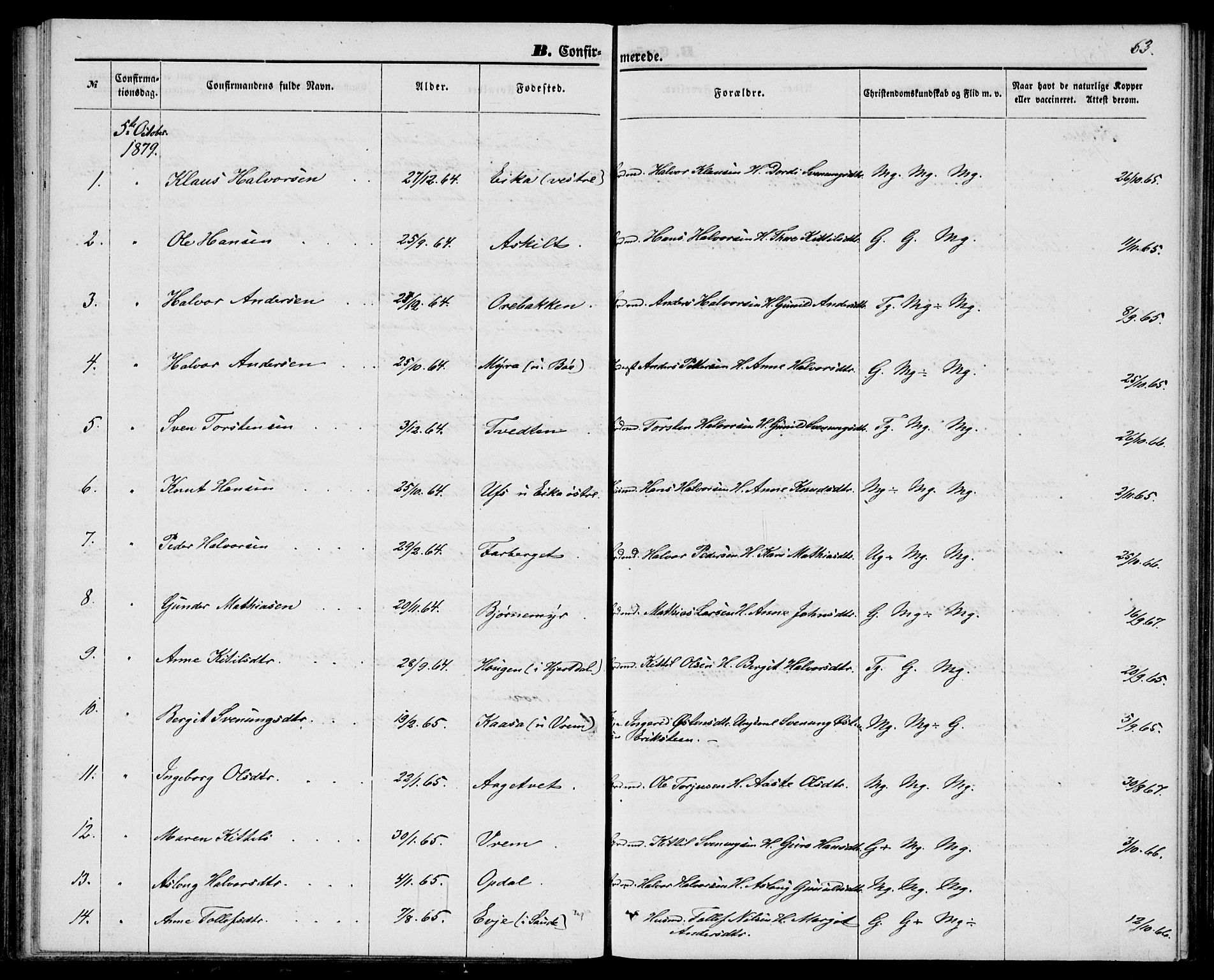 Bø kirkebøker, AV/SAKO-A-257/G/Ga/L0004: Klokkerbok nr. 4, 1876-1882, s. 63