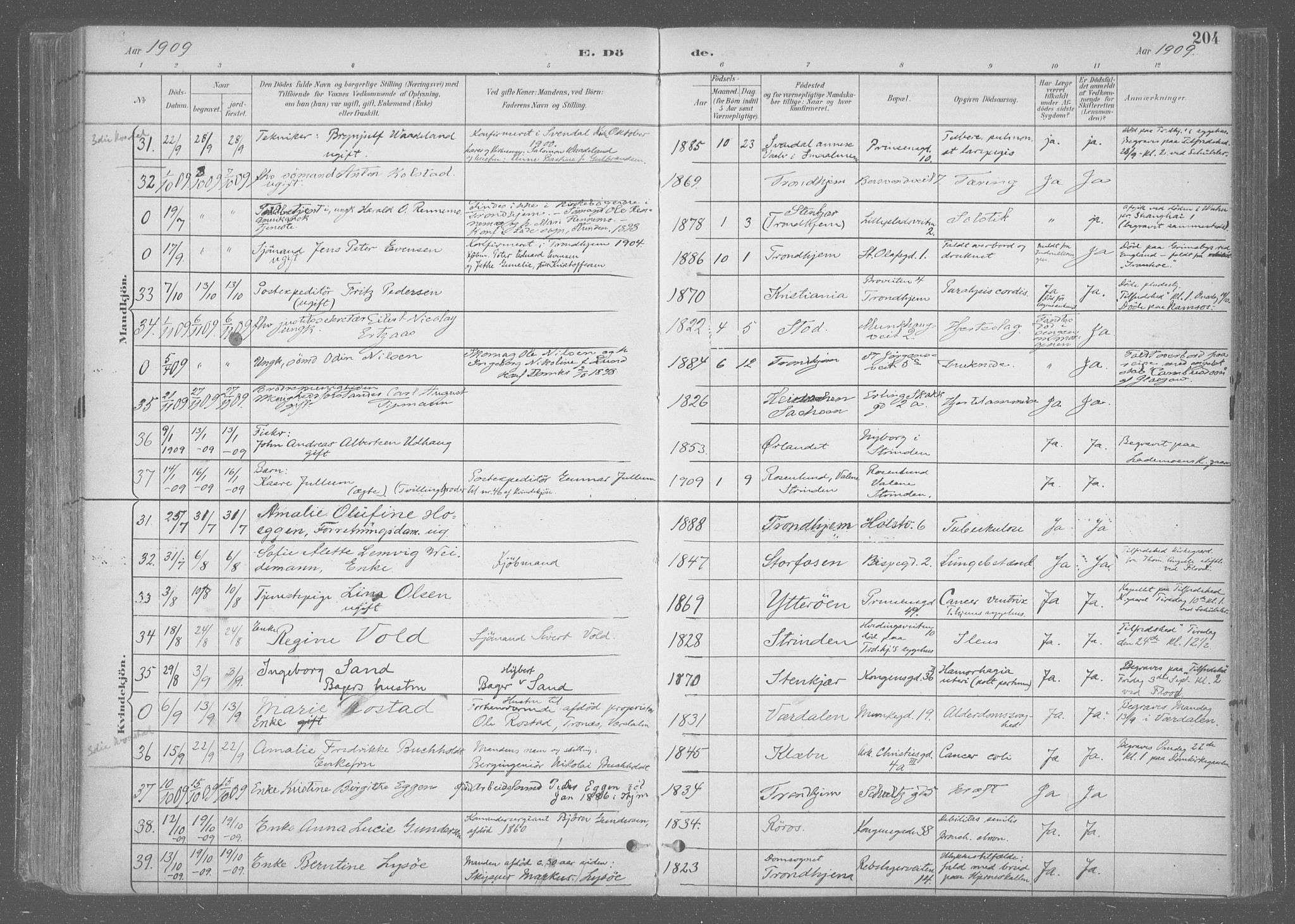Ministerialprotokoller, klokkerbøker og fødselsregistre - Sør-Trøndelag, AV/SAT-A-1456/601/L0064: Ministerialbok nr. 601A31, 1891-1911, s. 204