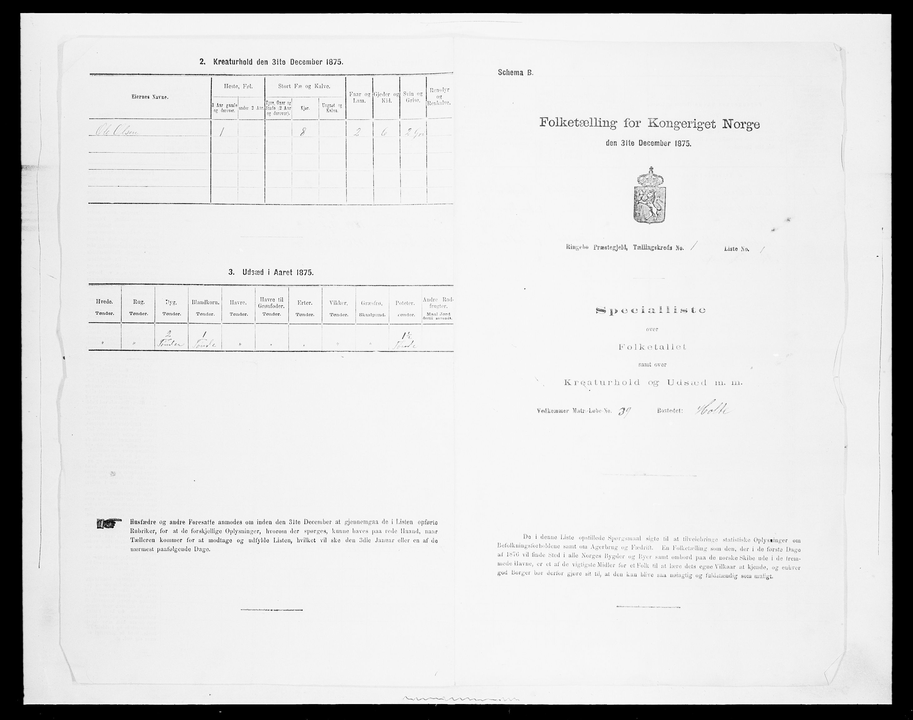 SAH, Folketelling 1875 for 0520P Ringebu prestegjeld, 1875, s. 85