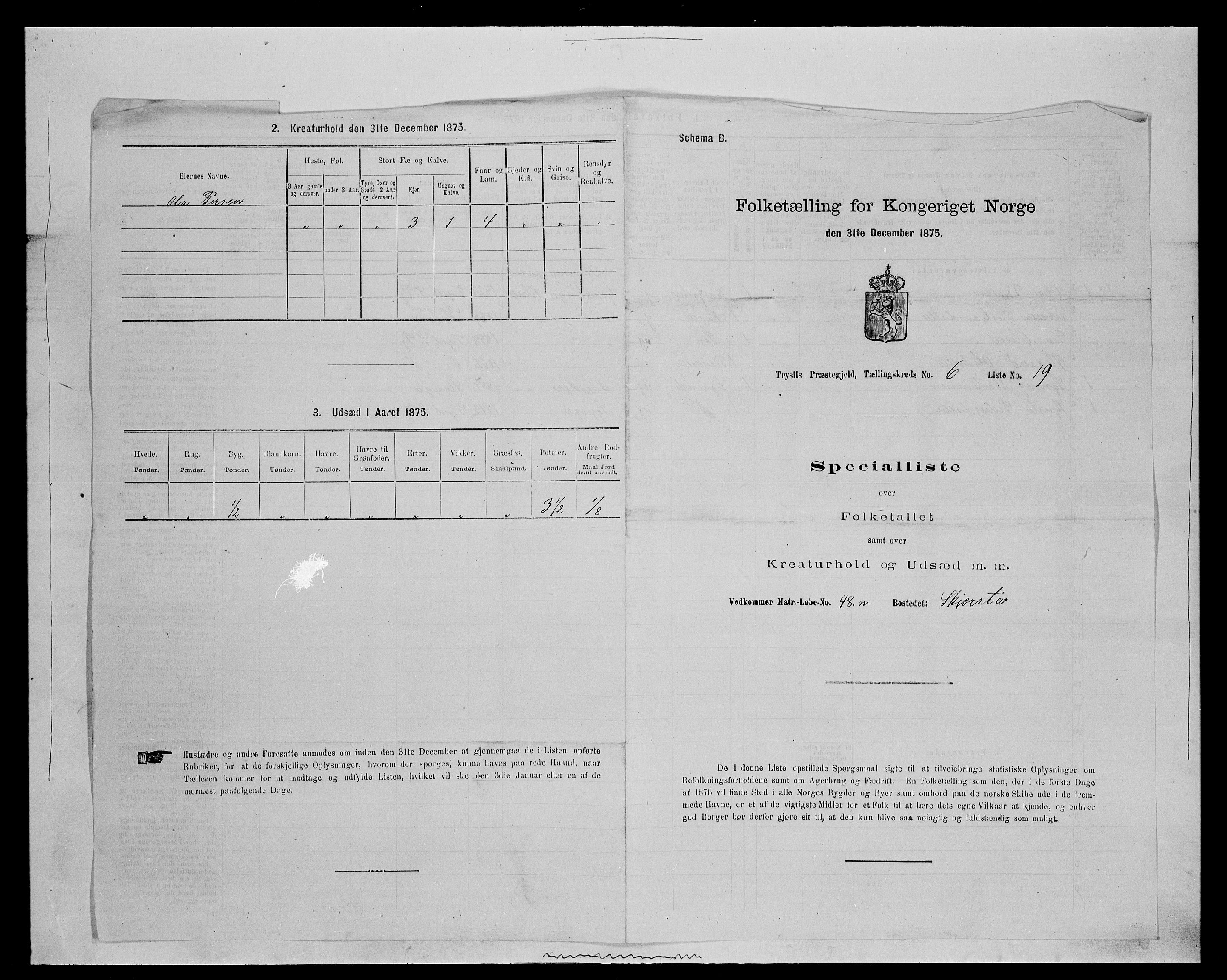 SAH, Folketelling 1875 for 0428P Trysil prestegjeld, 1875, s. 757