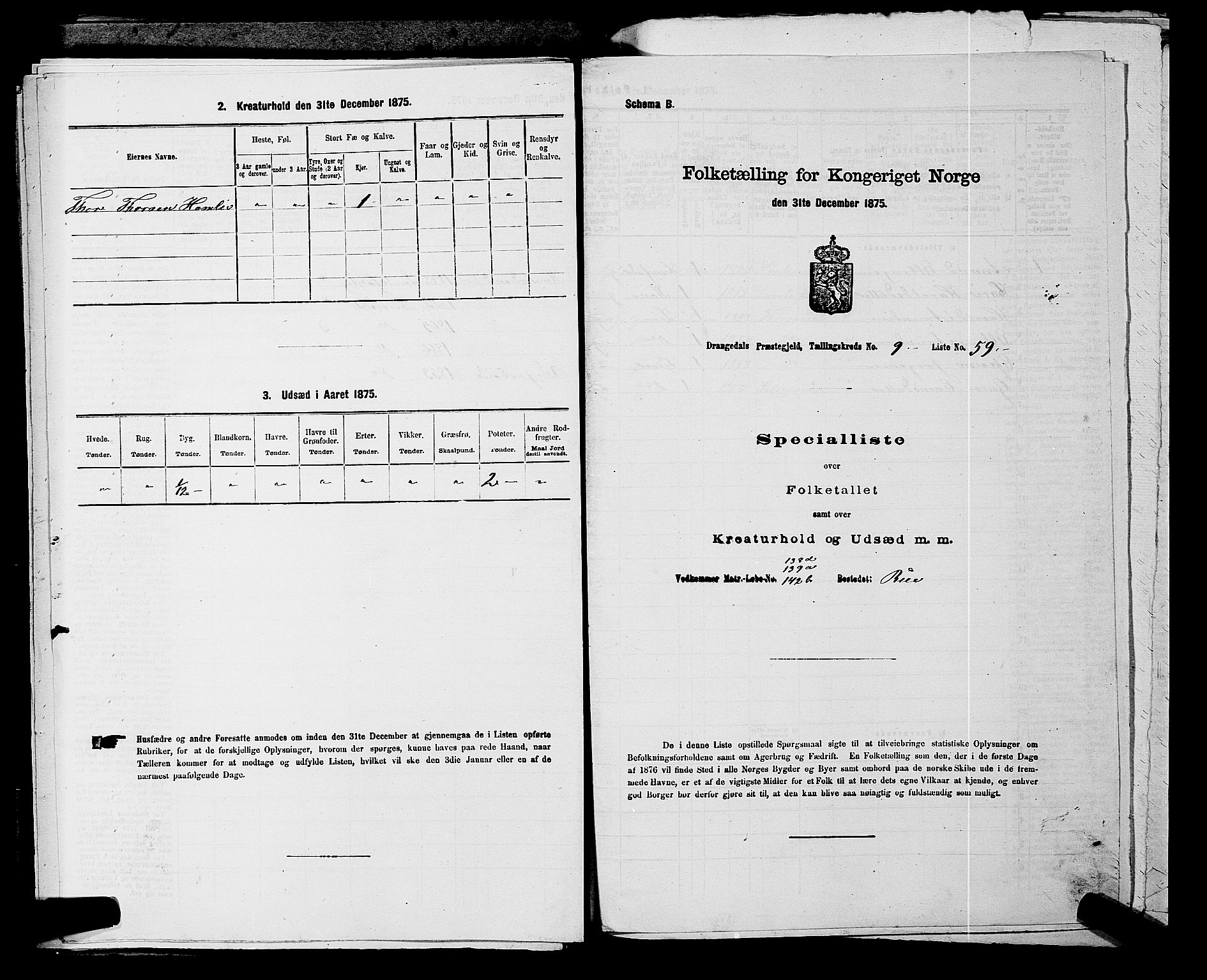 SAKO, Folketelling 1875 for 0817P Drangedal prestegjeld, 1875, s. 994