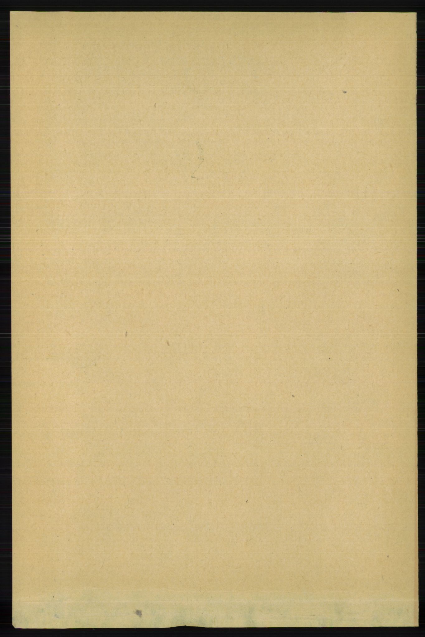 RA, Folketelling 1891 for 1121 Time herred, 1891, s. 1036