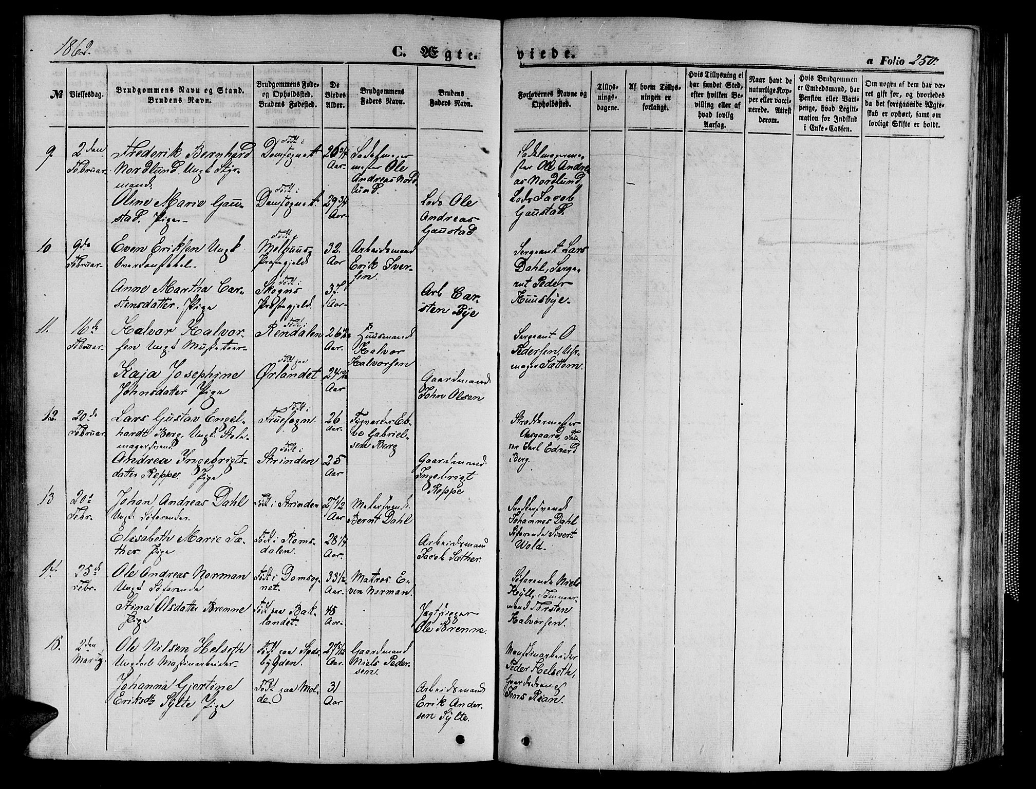 Ministerialprotokoller, klokkerbøker og fødselsregistre - Sør-Trøndelag, SAT/A-1456/602/L0139: Klokkerbok nr. 602C07, 1859-1864, s. 250