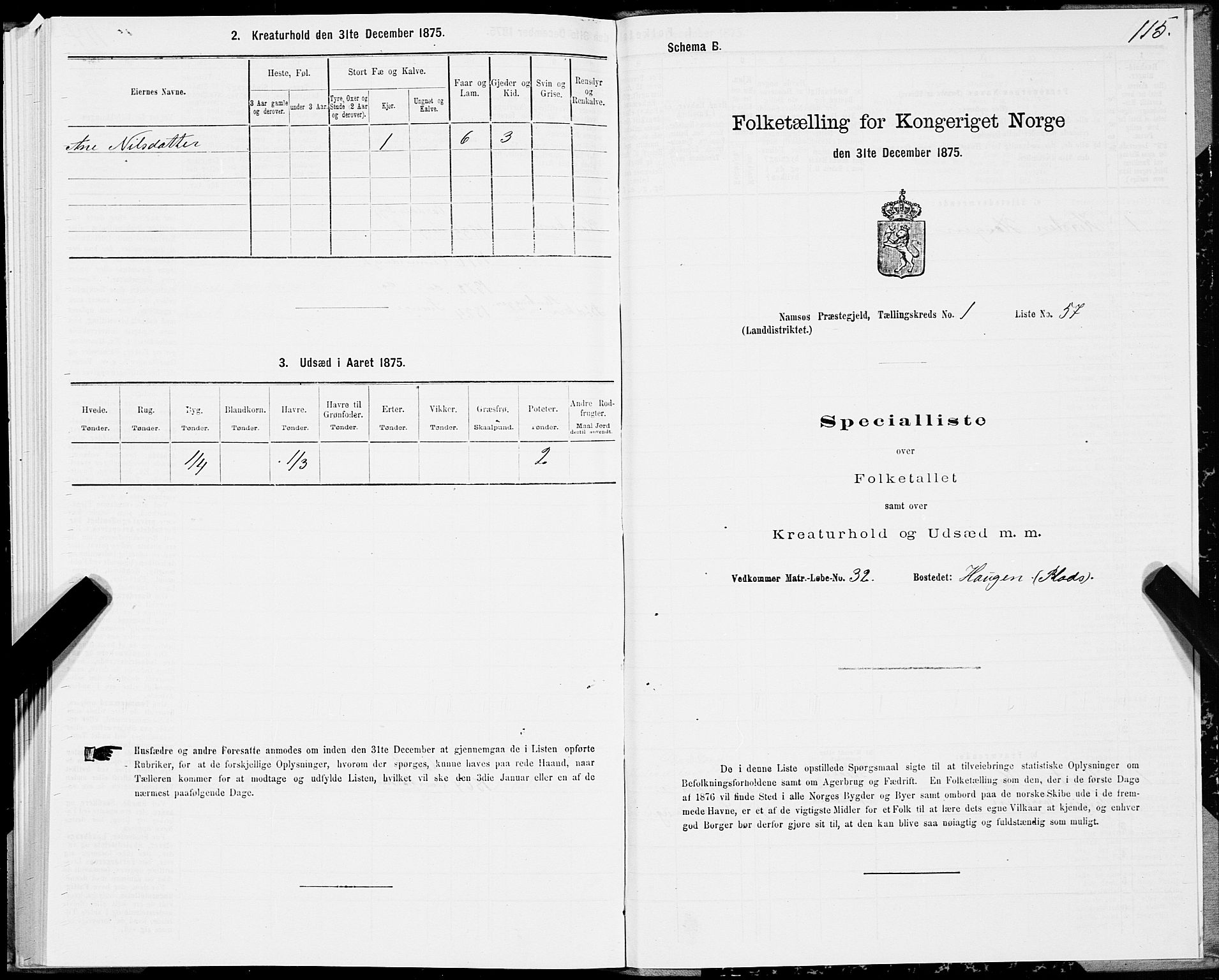 SAT, Folketelling 1875 for 1745L Namsos prestegjeld, Vemundvik sokn og Sævik sokn, 1875, s. 1115