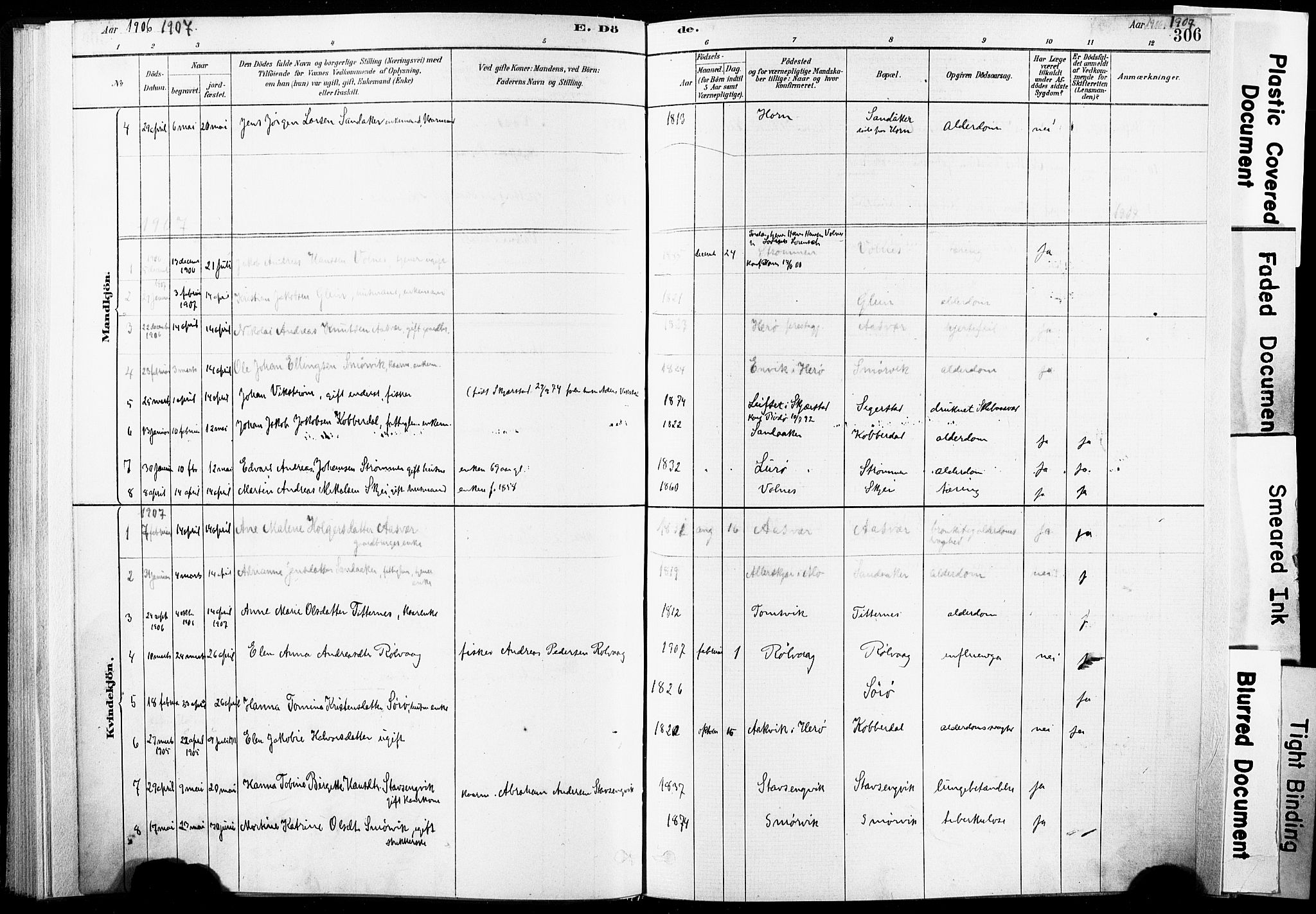 Ministerialprotokoller, klokkerbøker og fødselsregistre - Nordland, AV/SAT-A-1459/835/L0526: Ministerialbok nr. 835A03II, 1881-1910, s. 306