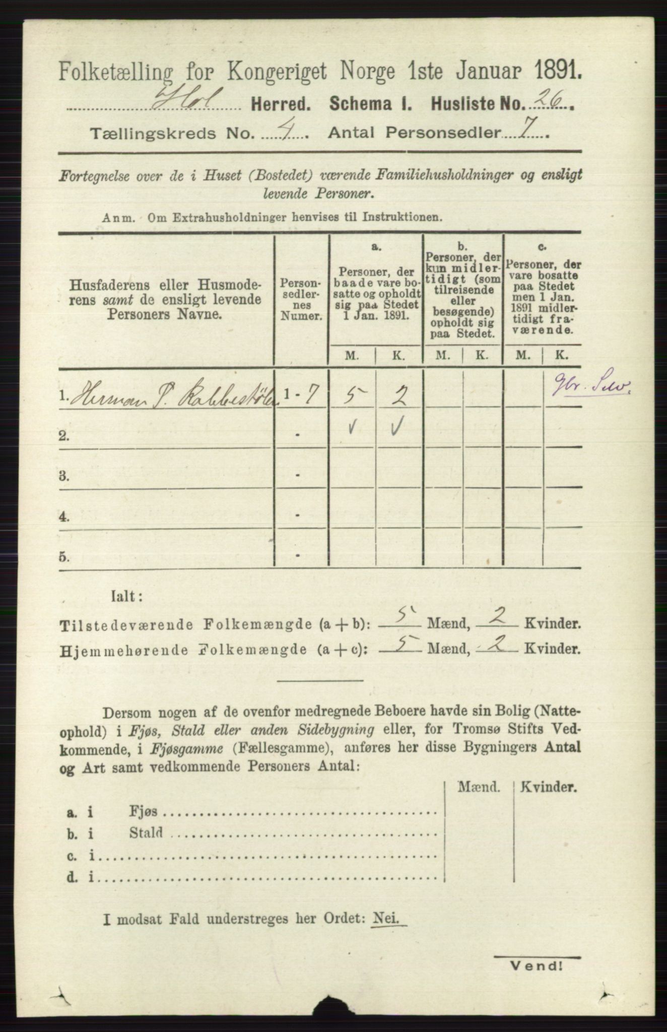 RA, Folketelling 1891 for 0620 Hol herred, 1891, s. 1251