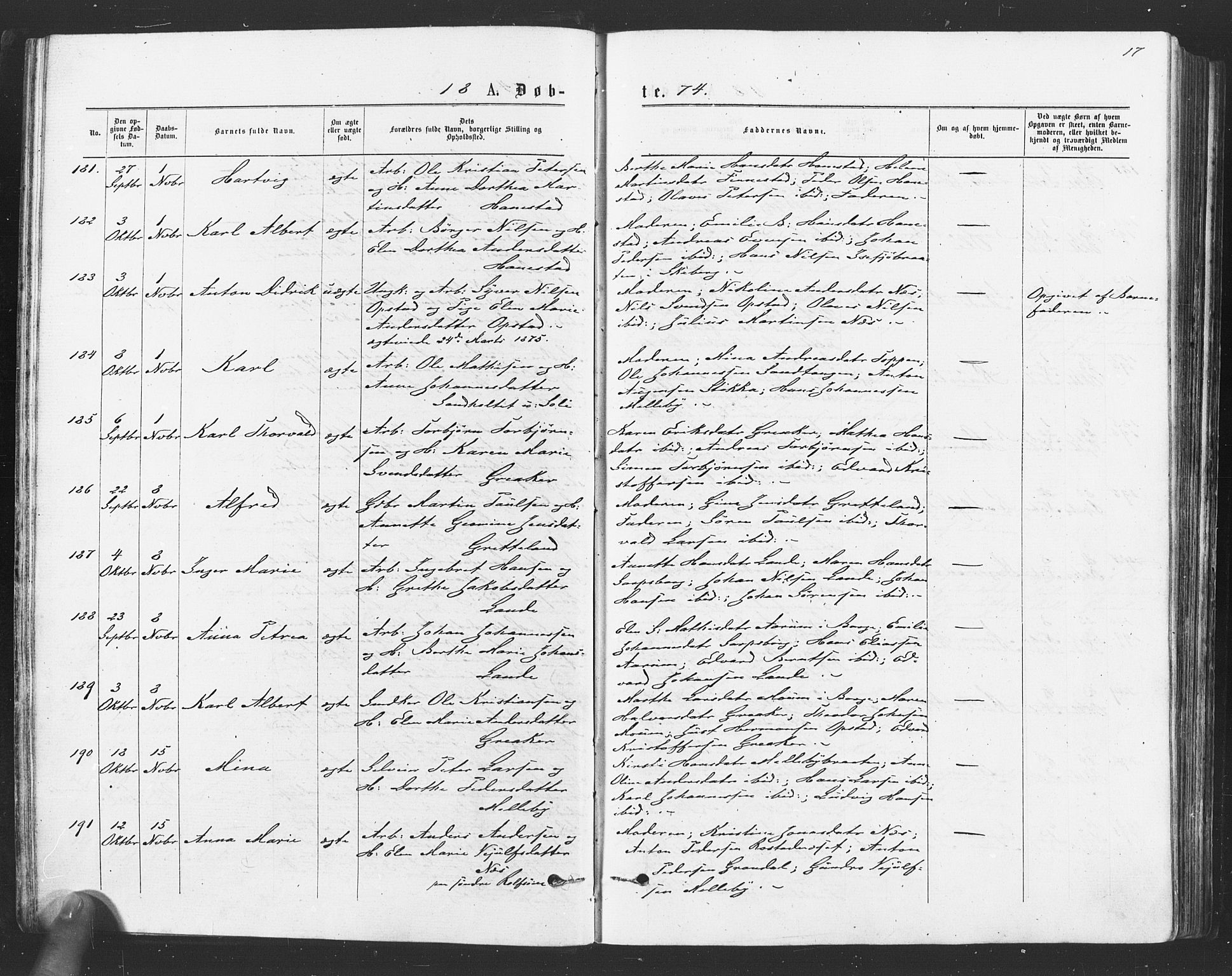 Tune prestekontor Kirkebøker, SAO/A-2007/F/Fa/L0016: Ministerialbok nr. 16, 1874-1877, s. 17