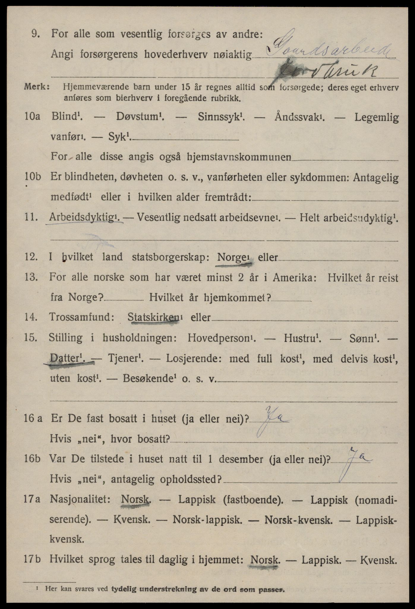 SAT, Folketelling 1920 for 1650 Horg herred, 1920, s. 1253