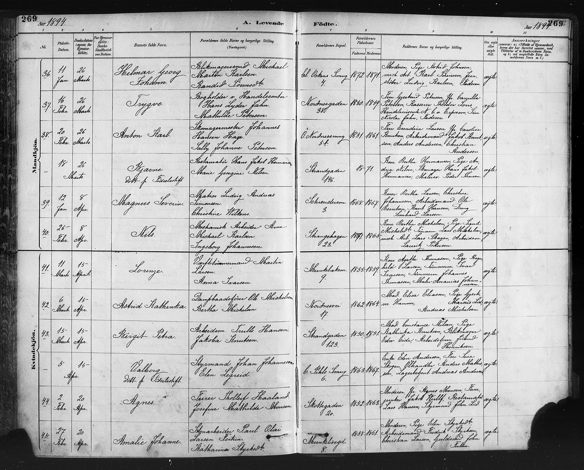 Nykirken Sokneprestembete, AV/SAB-A-77101/H/Haa: Ministerialbok nr. B 5, 1885-1894, s. 269