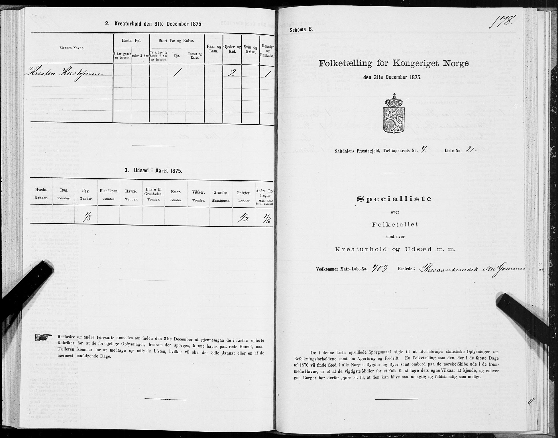 SAT, Folketelling 1875 for 1840P Saltdal prestegjeld, 1875, s. 2178